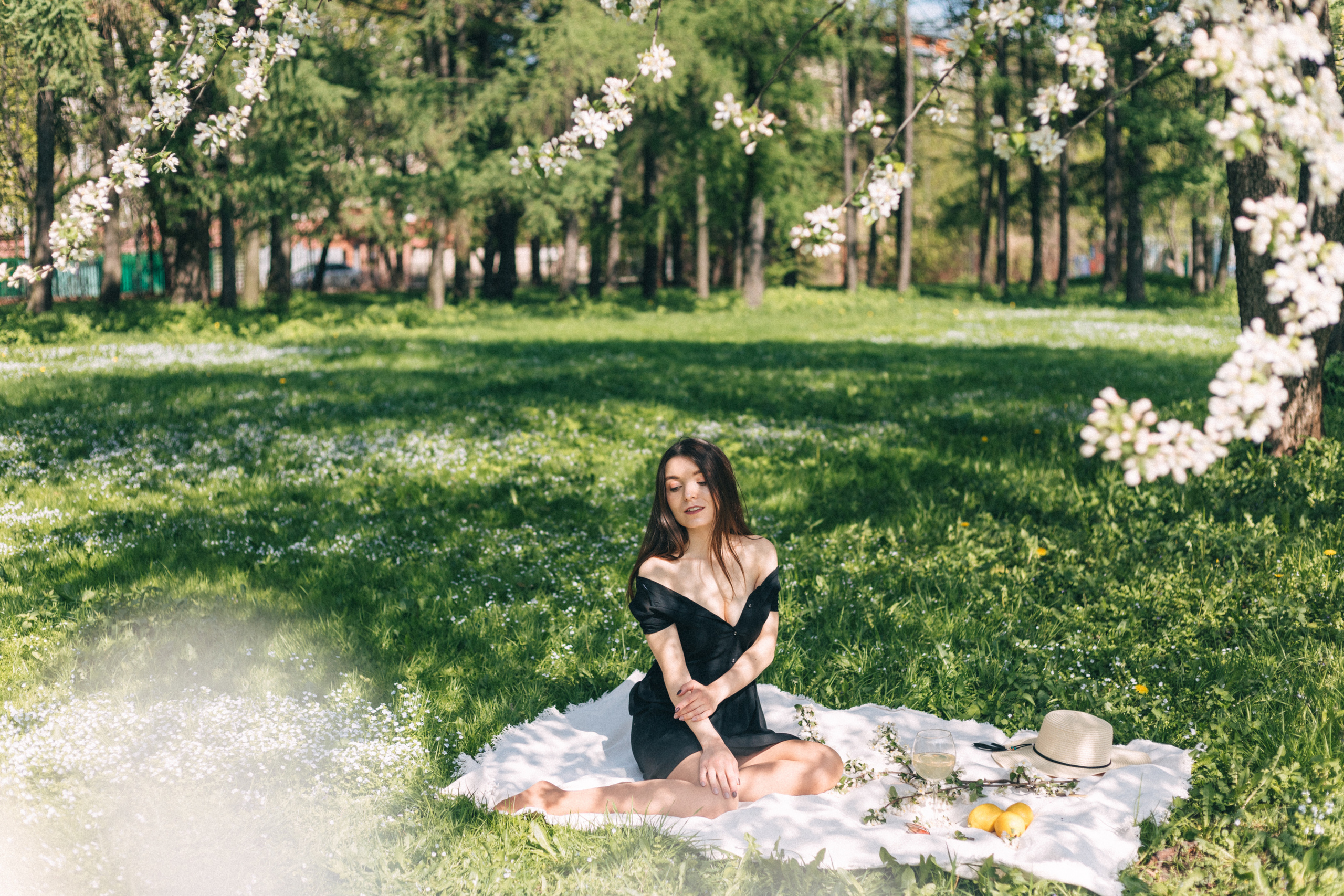 Цветение. Фотограф в Москве Ольга Svog