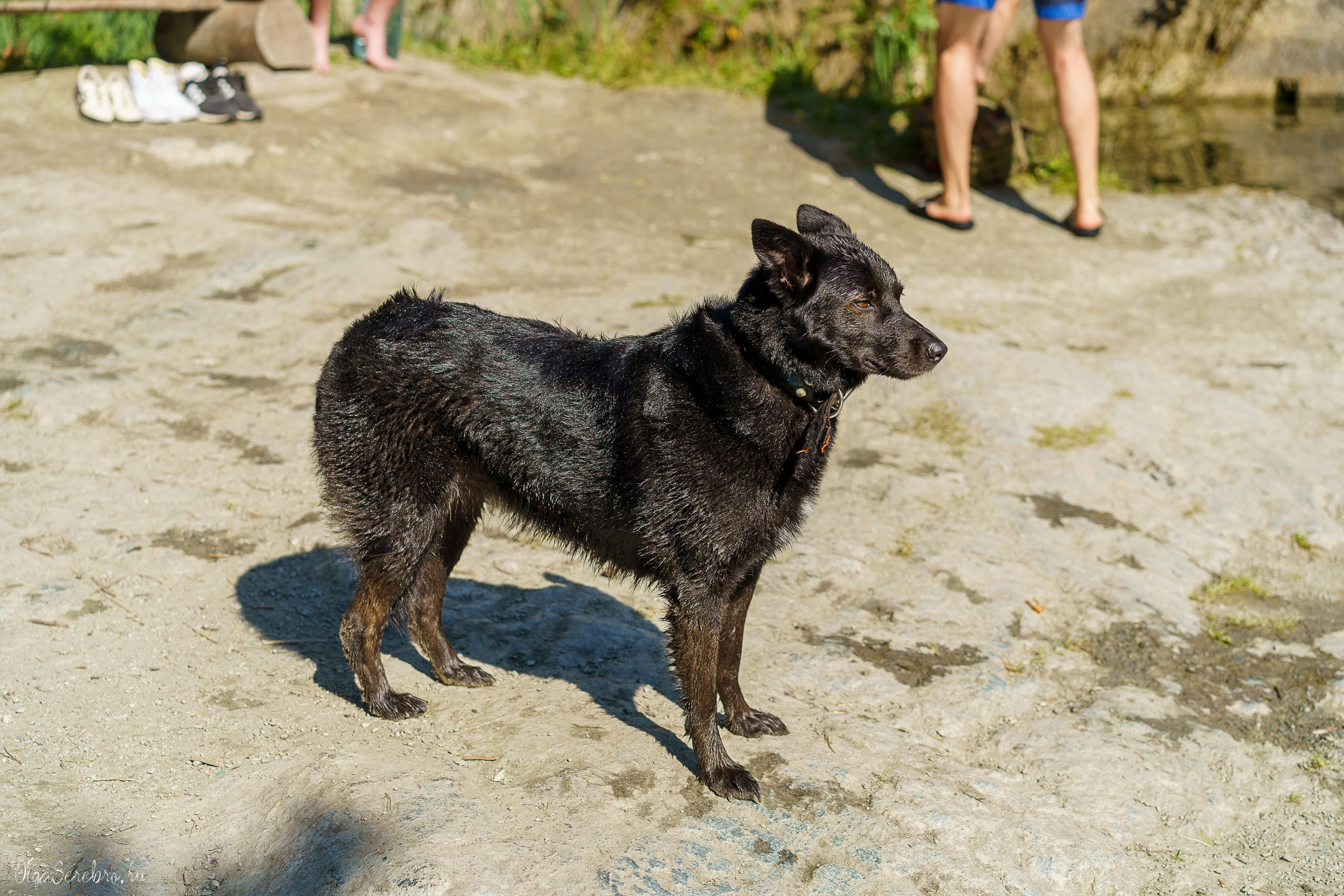 Тальков камень. Фотограф Челябинск · Ольга Серебрякова