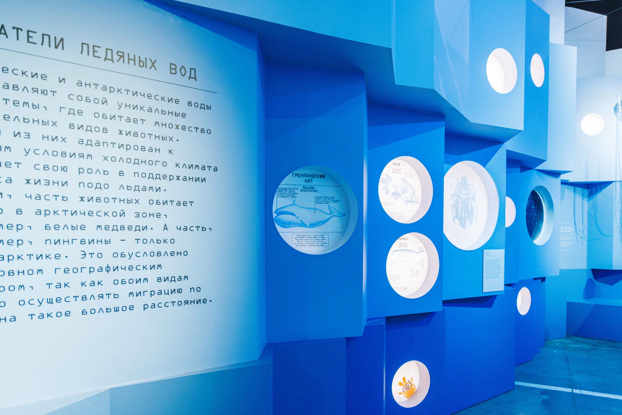 Лед. Жизнь — познавательно-развлекательная выставка. Фотограф Балаев Михаил