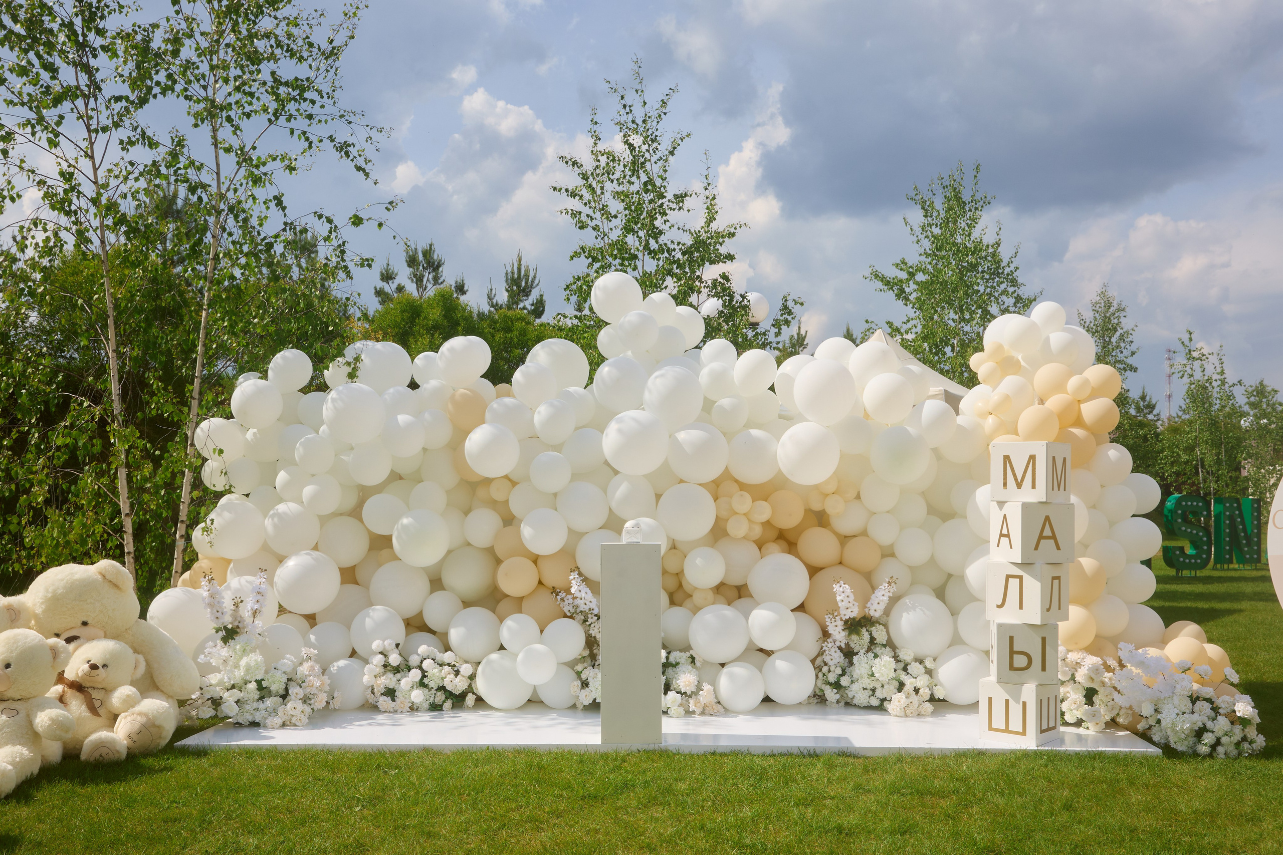 гендер пати,  гендерпати, Аня Хилькевич, Анна Хилькевич, третий ребенок, репортажный фотограф,  Илья Новиков