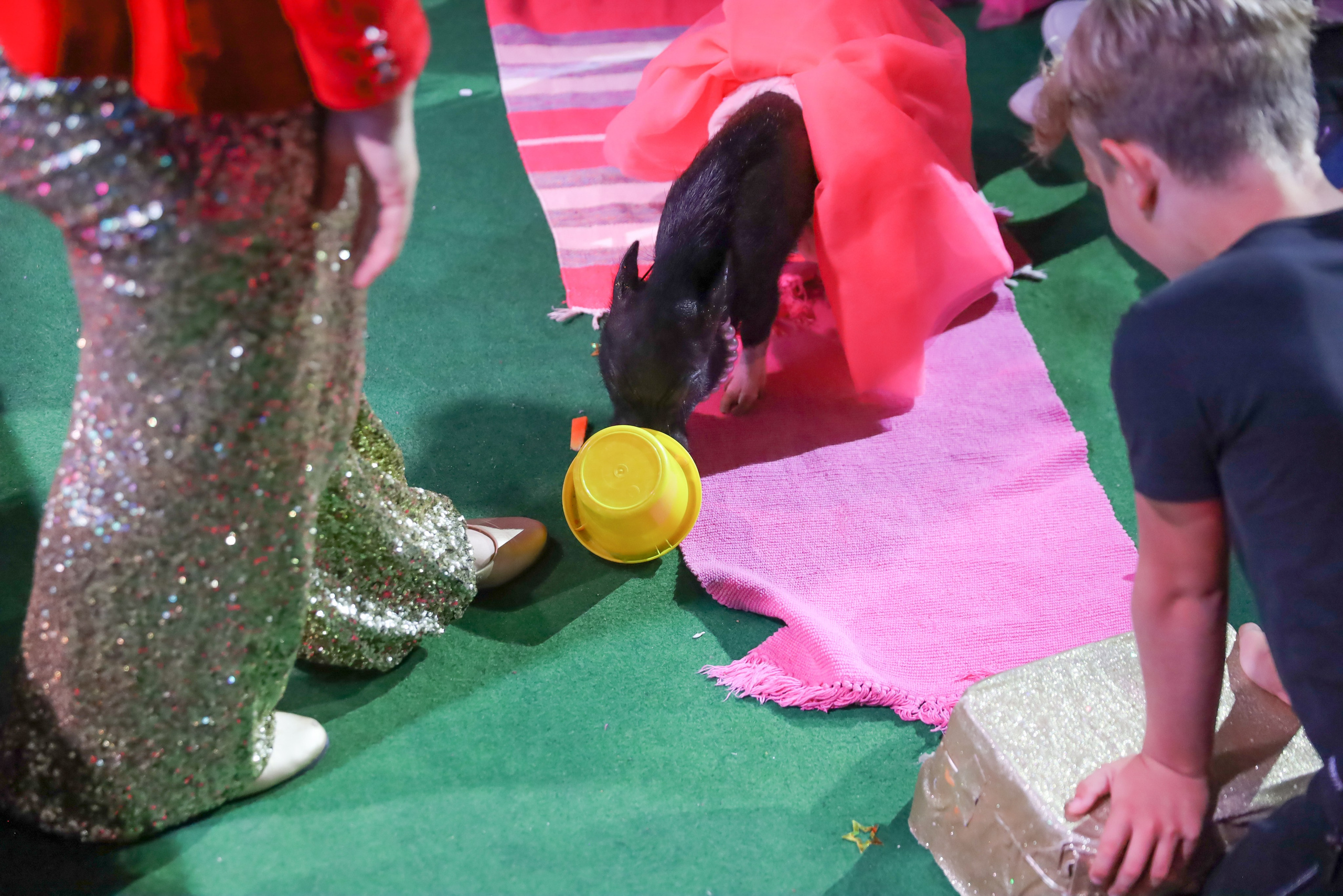 ДЕНЬ РОЖДЕНИЯ ЕВЫ В КРБ. Фотограф мероприятий Ирина Каширина