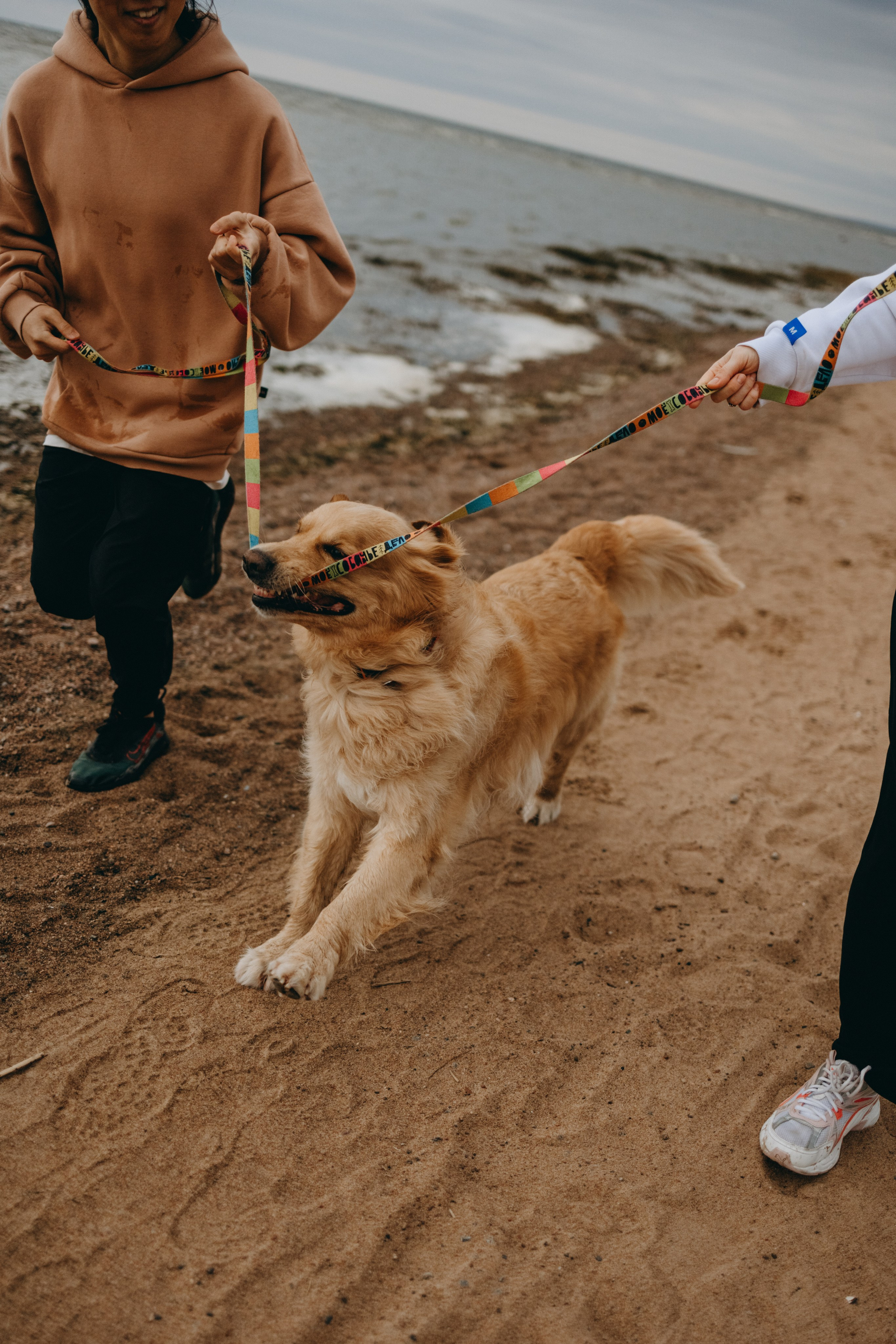 Фоси и его семьи. Фотограф — Анималист | Санкт-Петербург