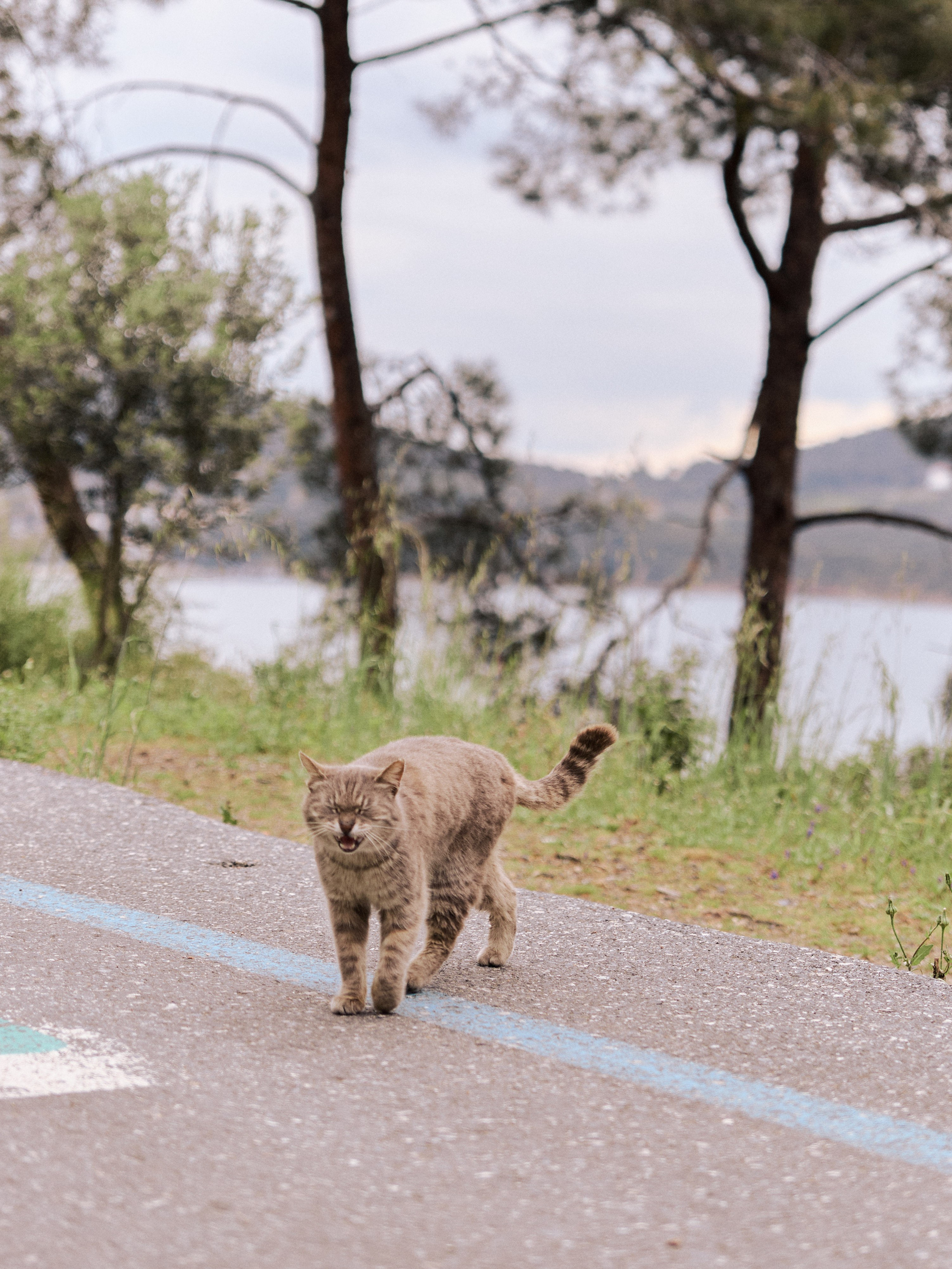 Другое 2. Jorgis Talè — photographer, kind person, teacher of arts and other mag