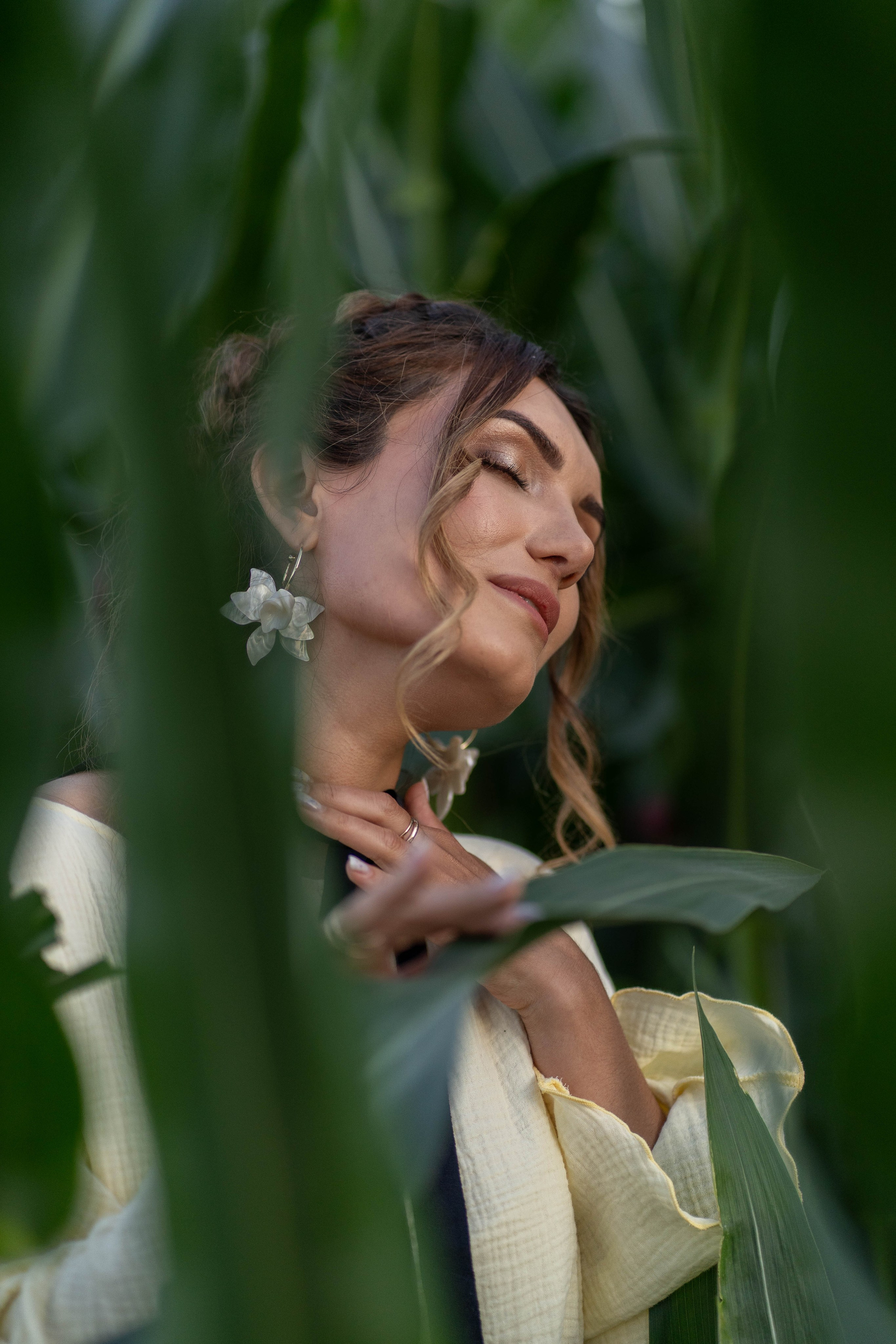 Кукурузное поле. Главная