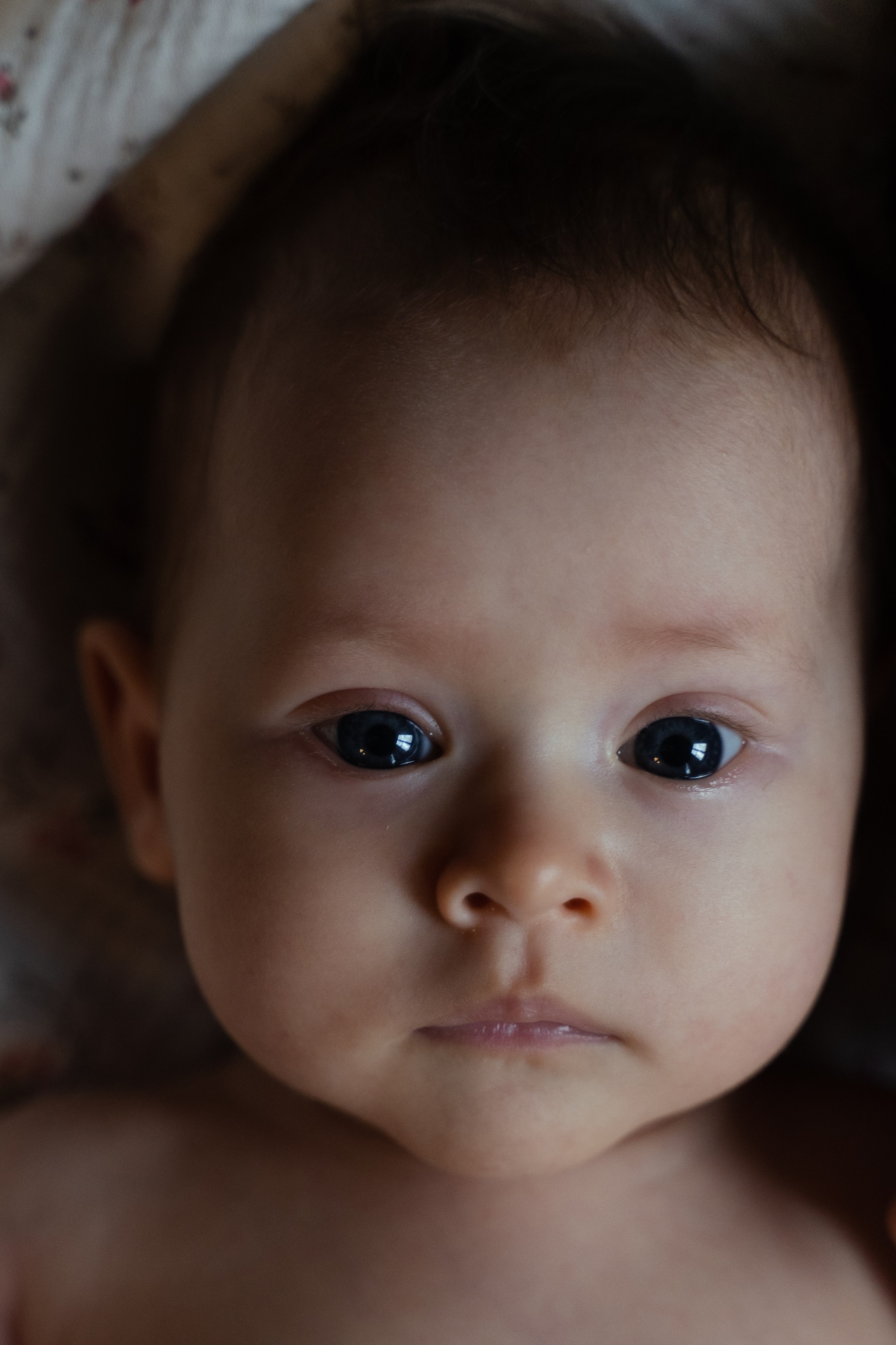 Семьи. Фотограф в Москве и Нижнем Новгороде Никонова Анастасия