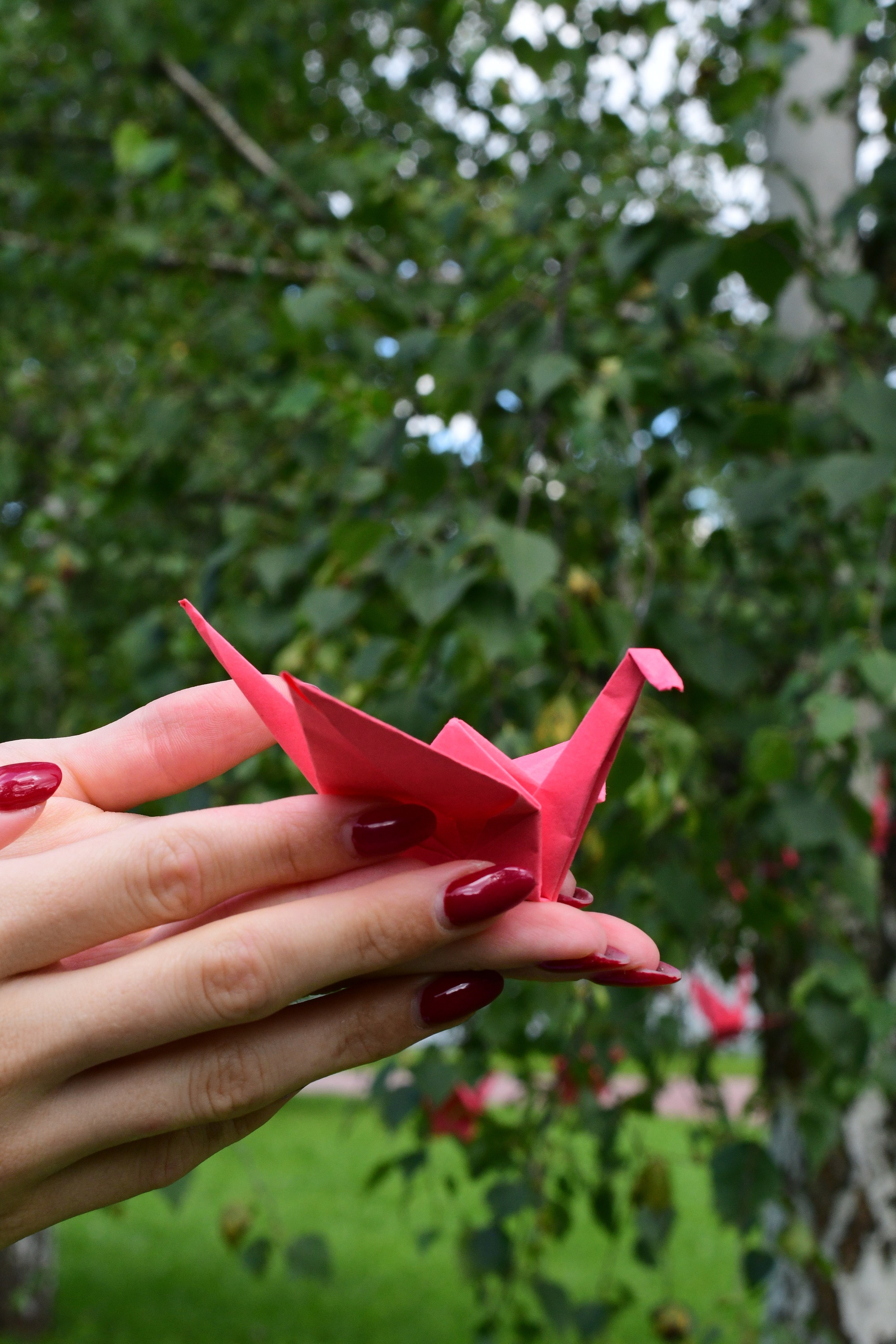 Портретная фотосъёмка. АЛИНА СНИМАЕТ