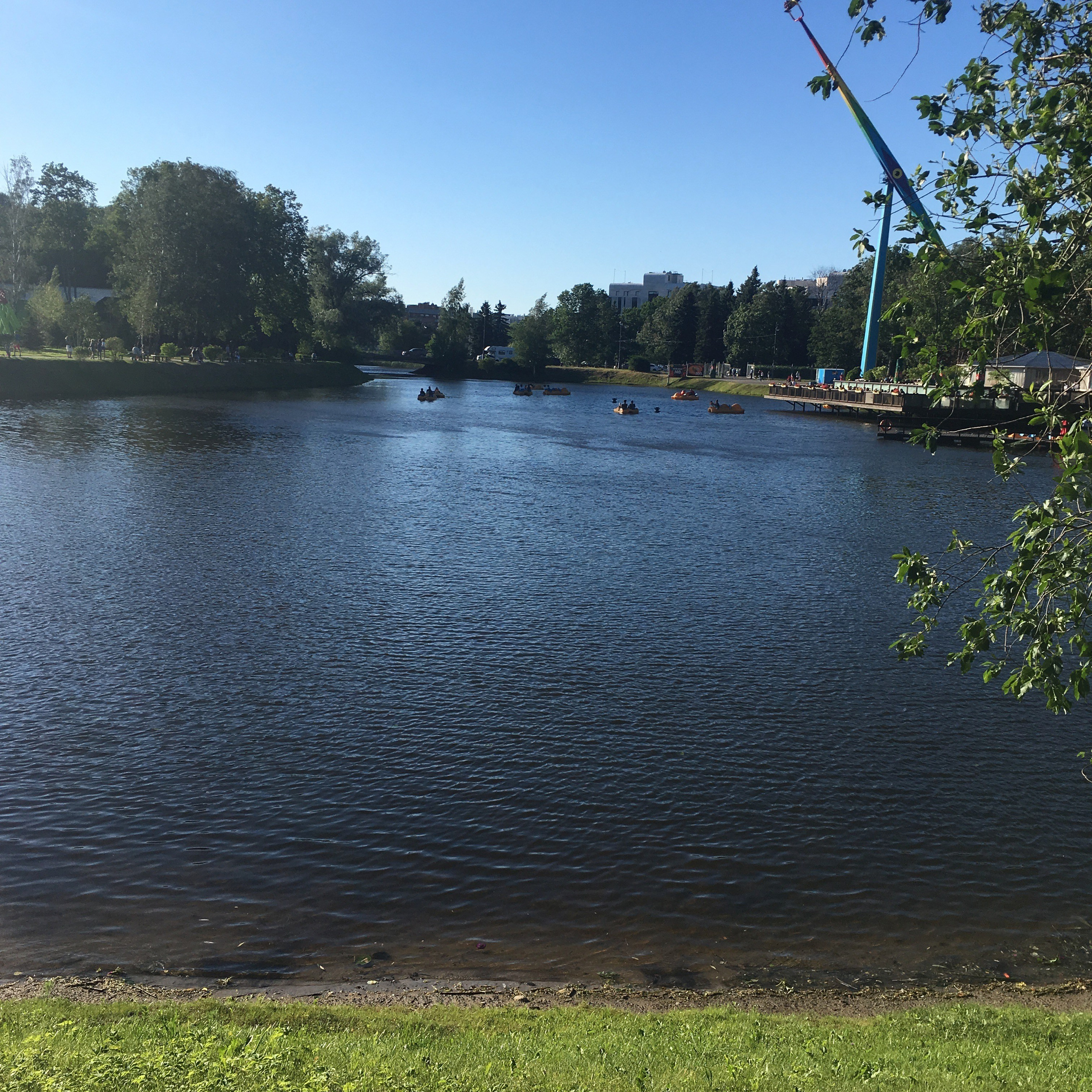 Дивоостров -19. Своя Мастерская