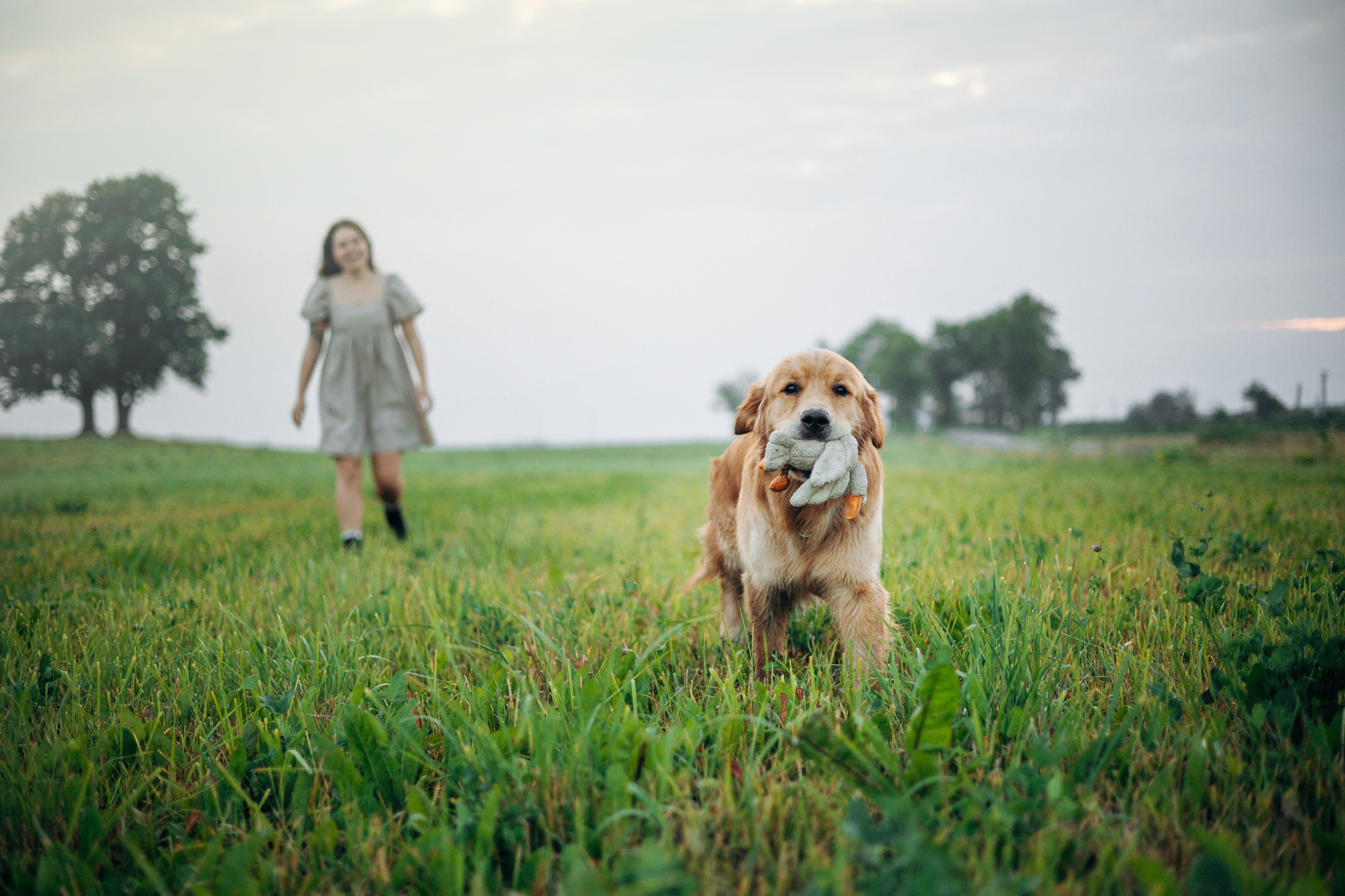 Аня и Ноллан. Фотограф — Анималист | Санкт-Петербург