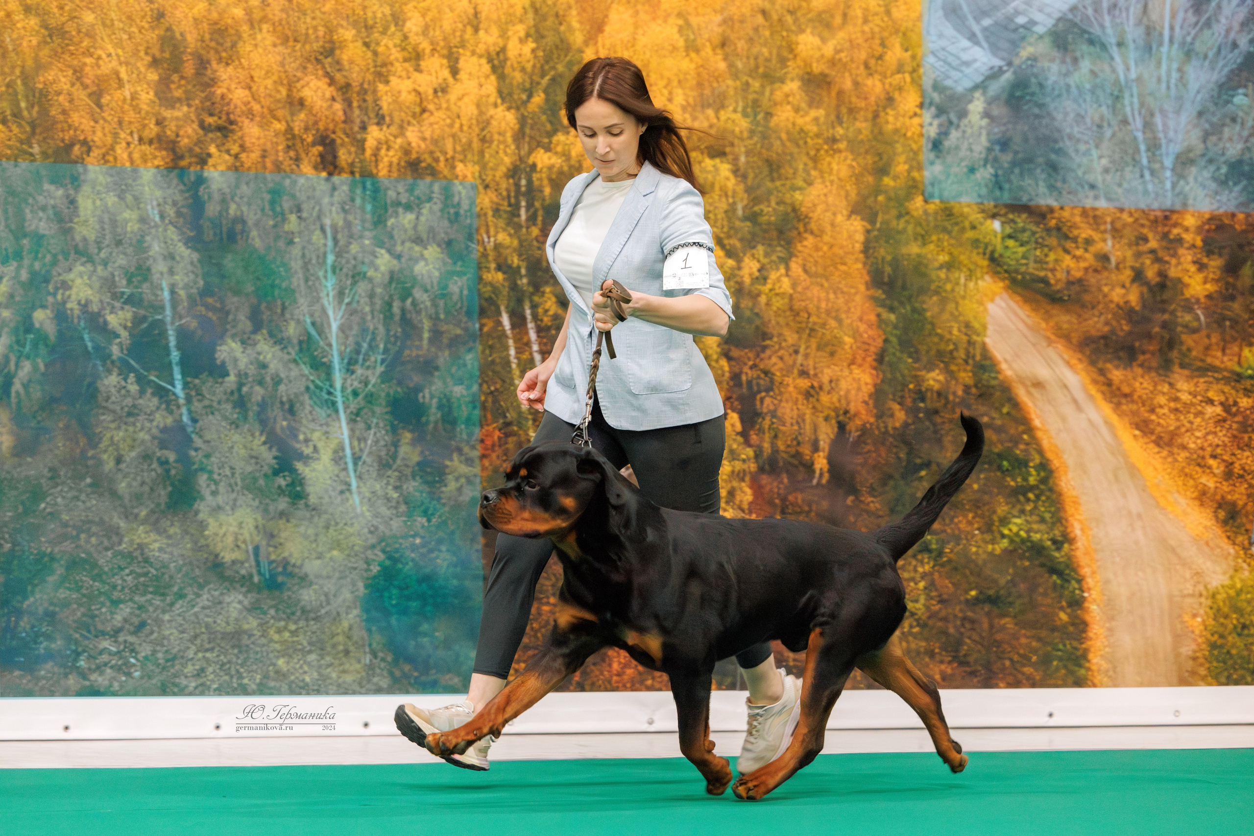 Сфера и Крокус 8,9,16 и 30.03.2025. Фотограф-анималист Юлия Германика