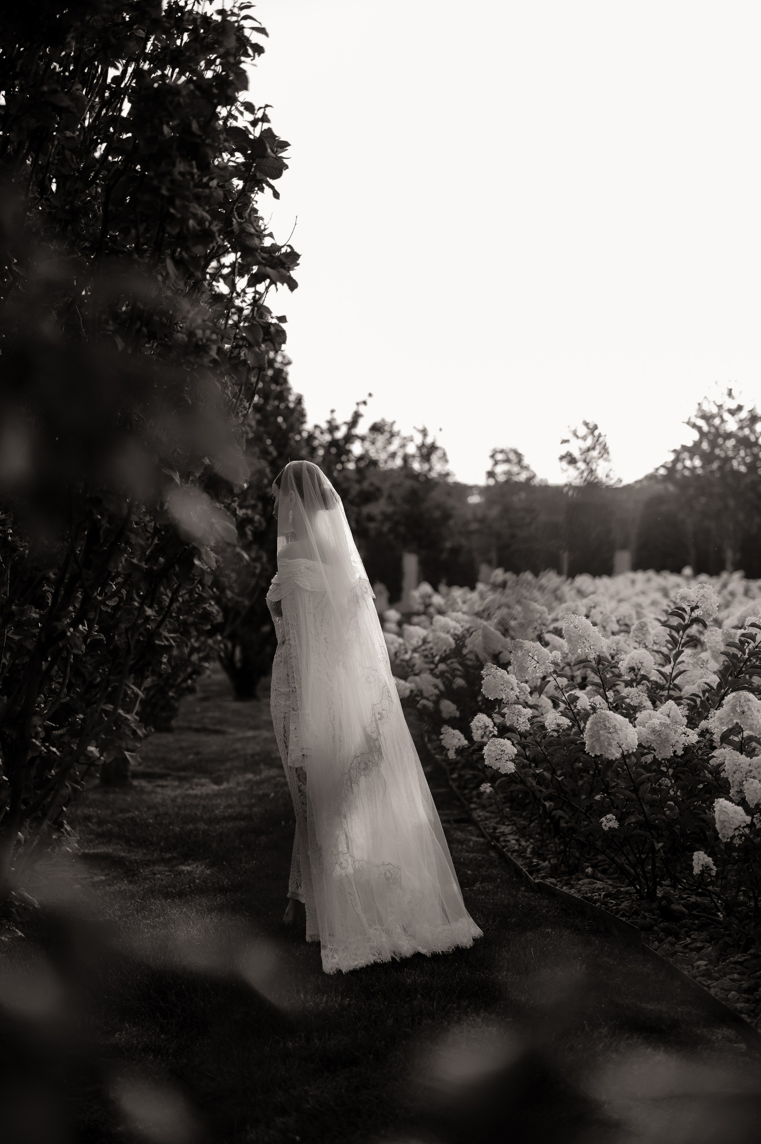 Арина (невеста). Свадебный и семейный фотограф в Краснодаре Алина Мельник