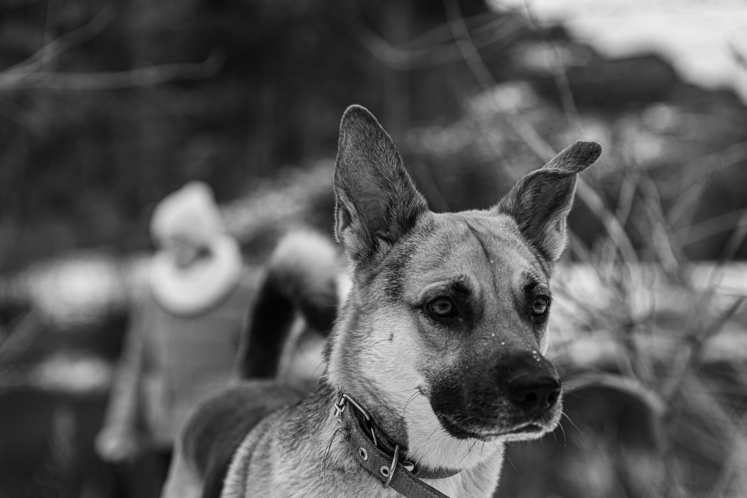 |ph|otographer by DK | Lifestyle | Нижний Тагил