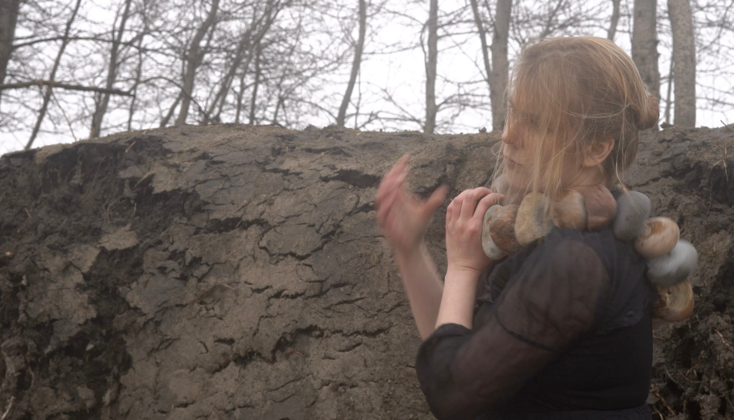 СОННАЯ АРТЕРИЯ. Художественная группа «Нежные Бабы»