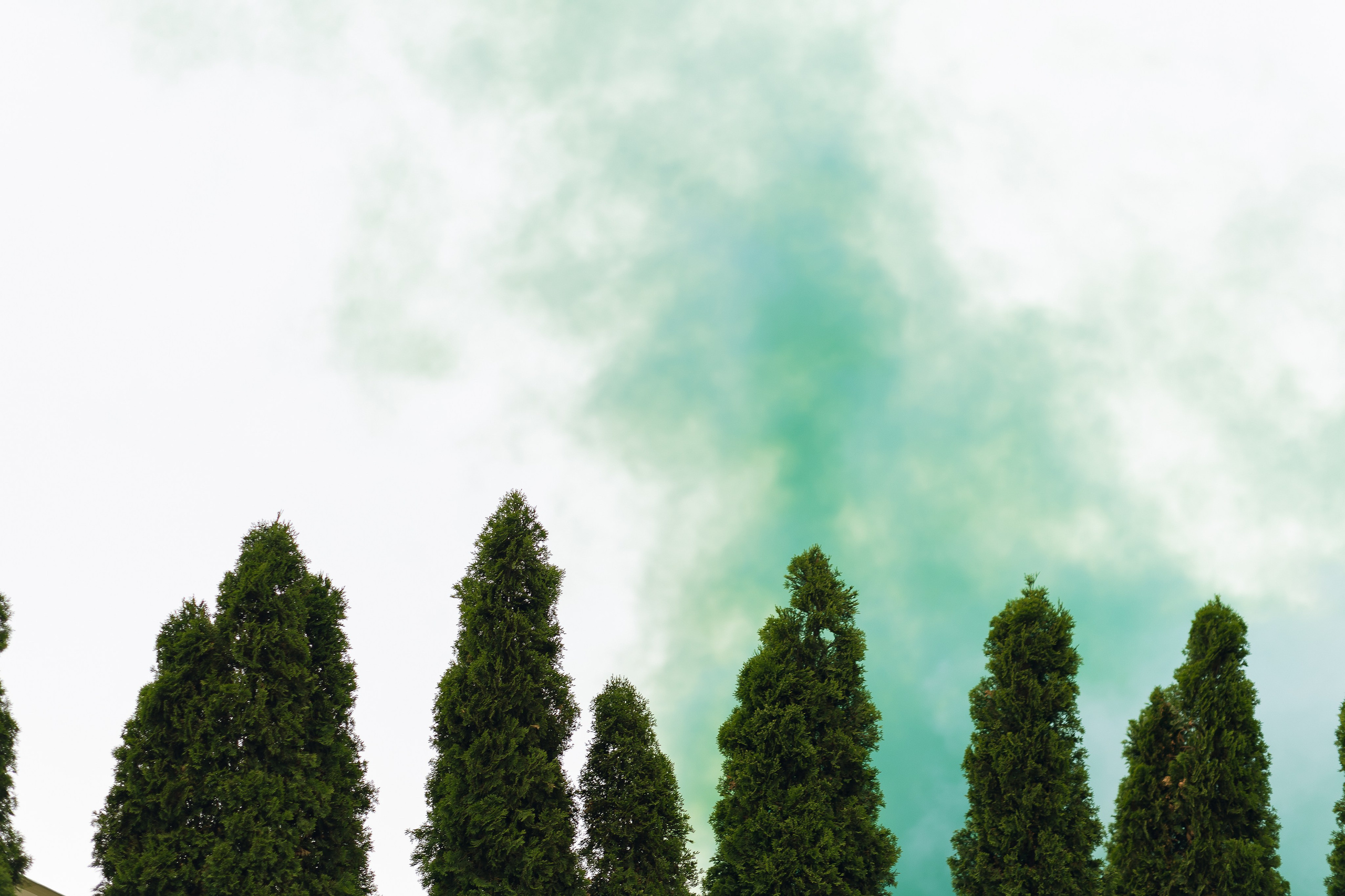 Роман и Юлия. Свадебный | Семейный фотограф