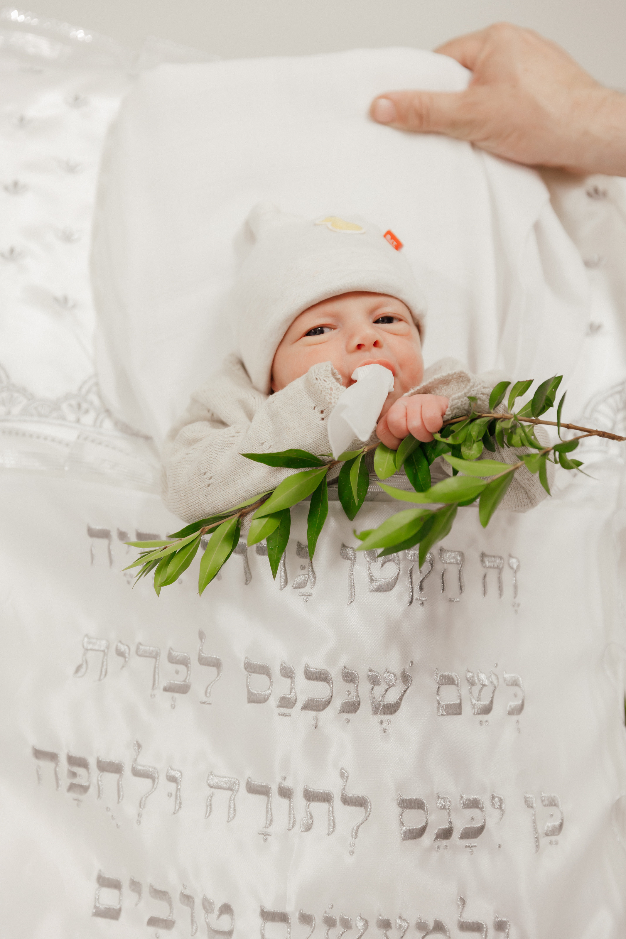 Brit Milah. Rishon LeZion. Photographer Michael Alekseev