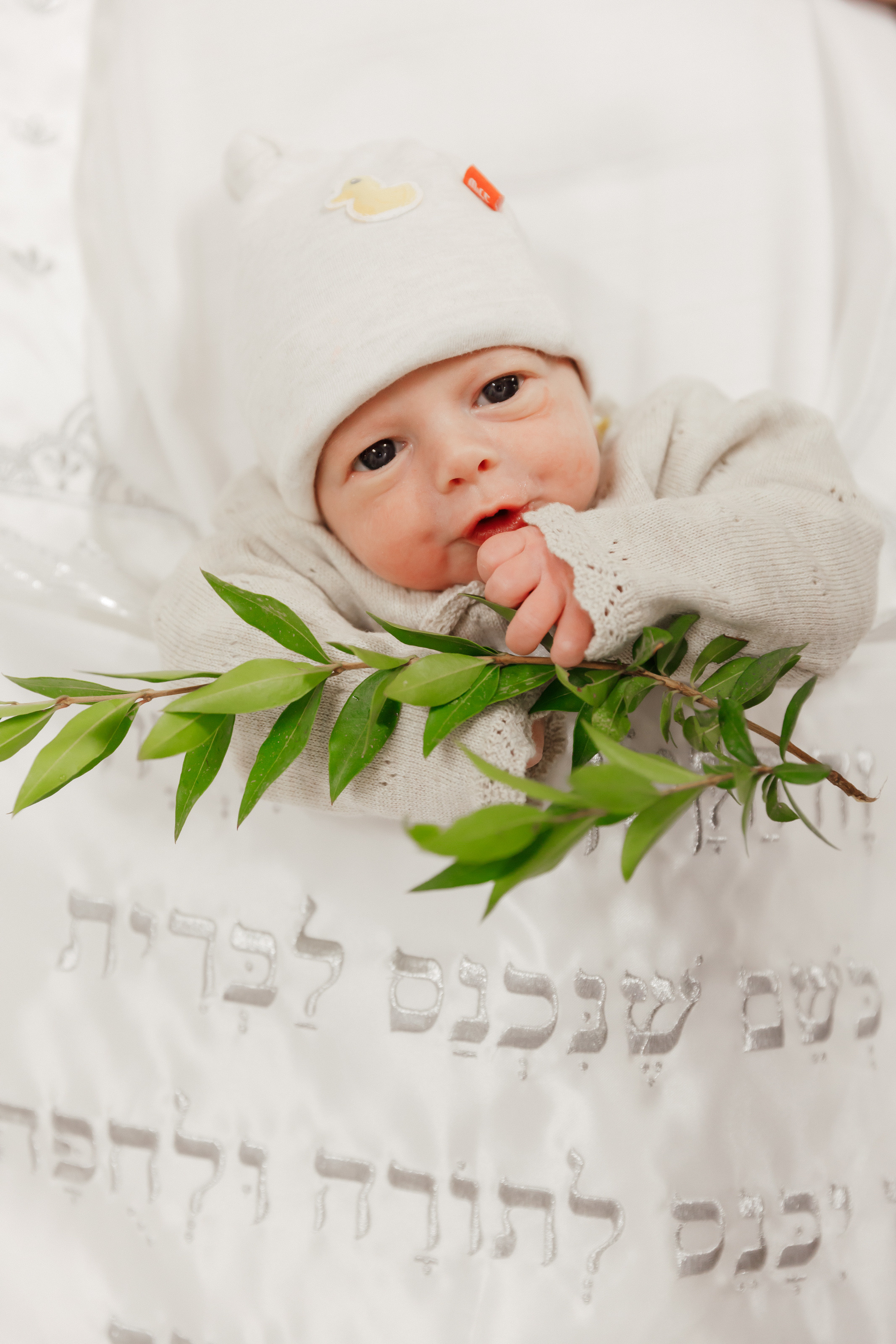 Brit Milah. Rishon LeZion. Photographer Michael Alekseev