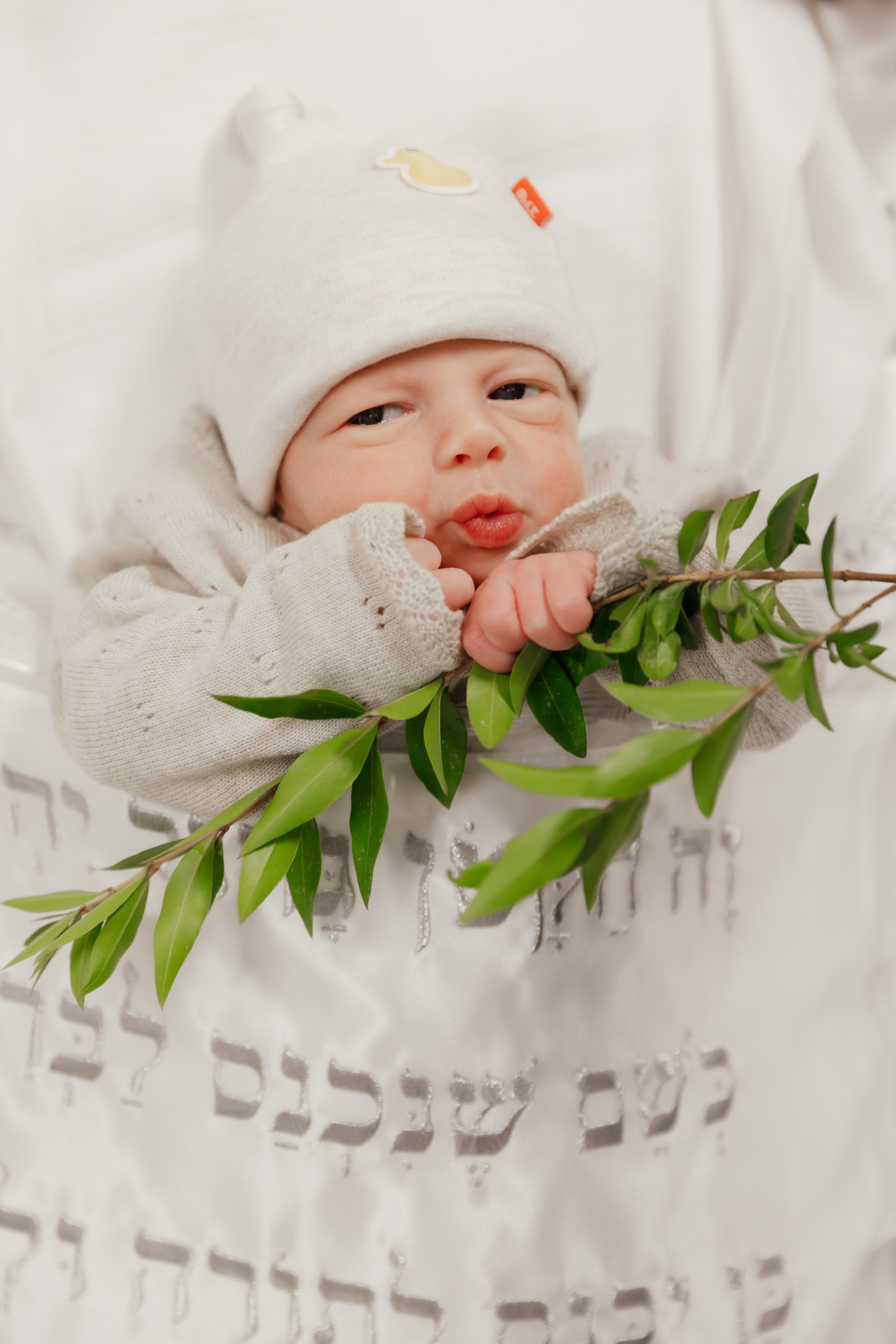 Brit Milah. Rishon LeZion. Photographer Michael Alekseev