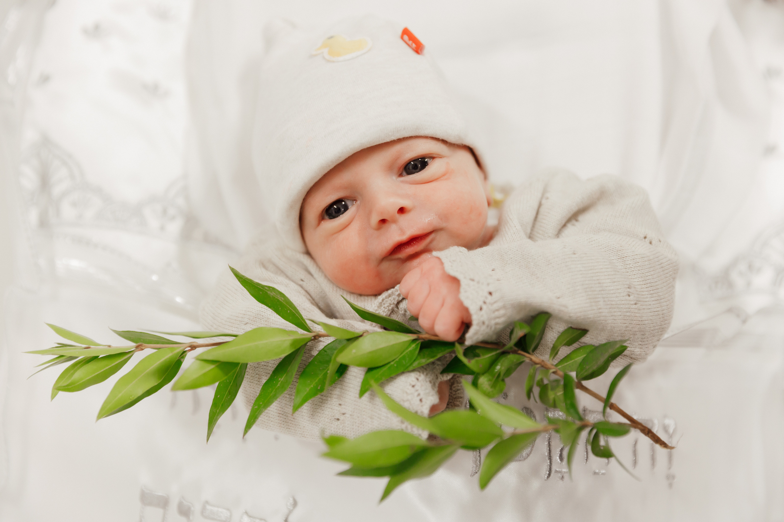 Brit Milah. Rishon LeZion. Photographer Michael Alekseev