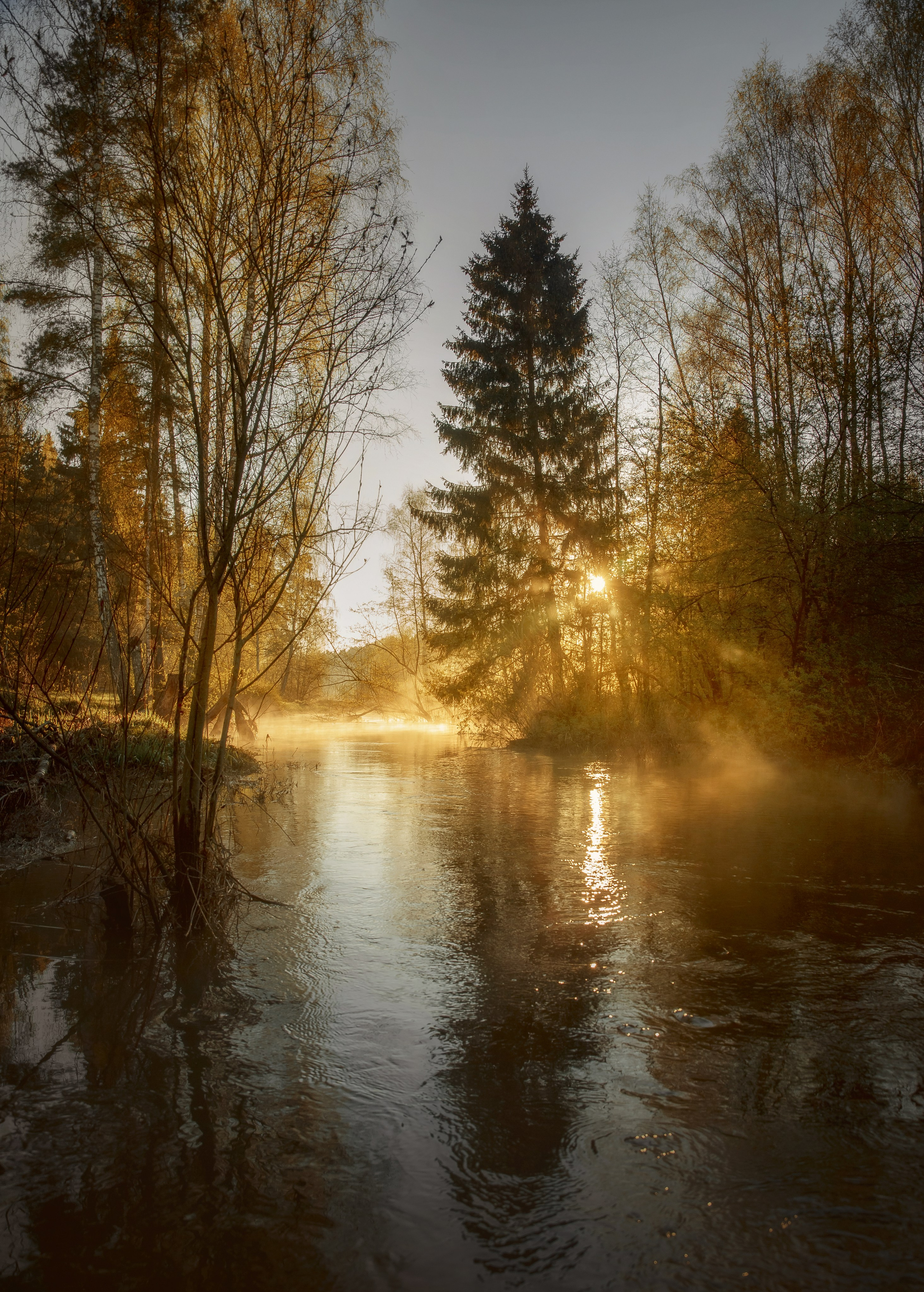 Пейзаж. Детская Конная фотография в Москве Юлия Шепелева