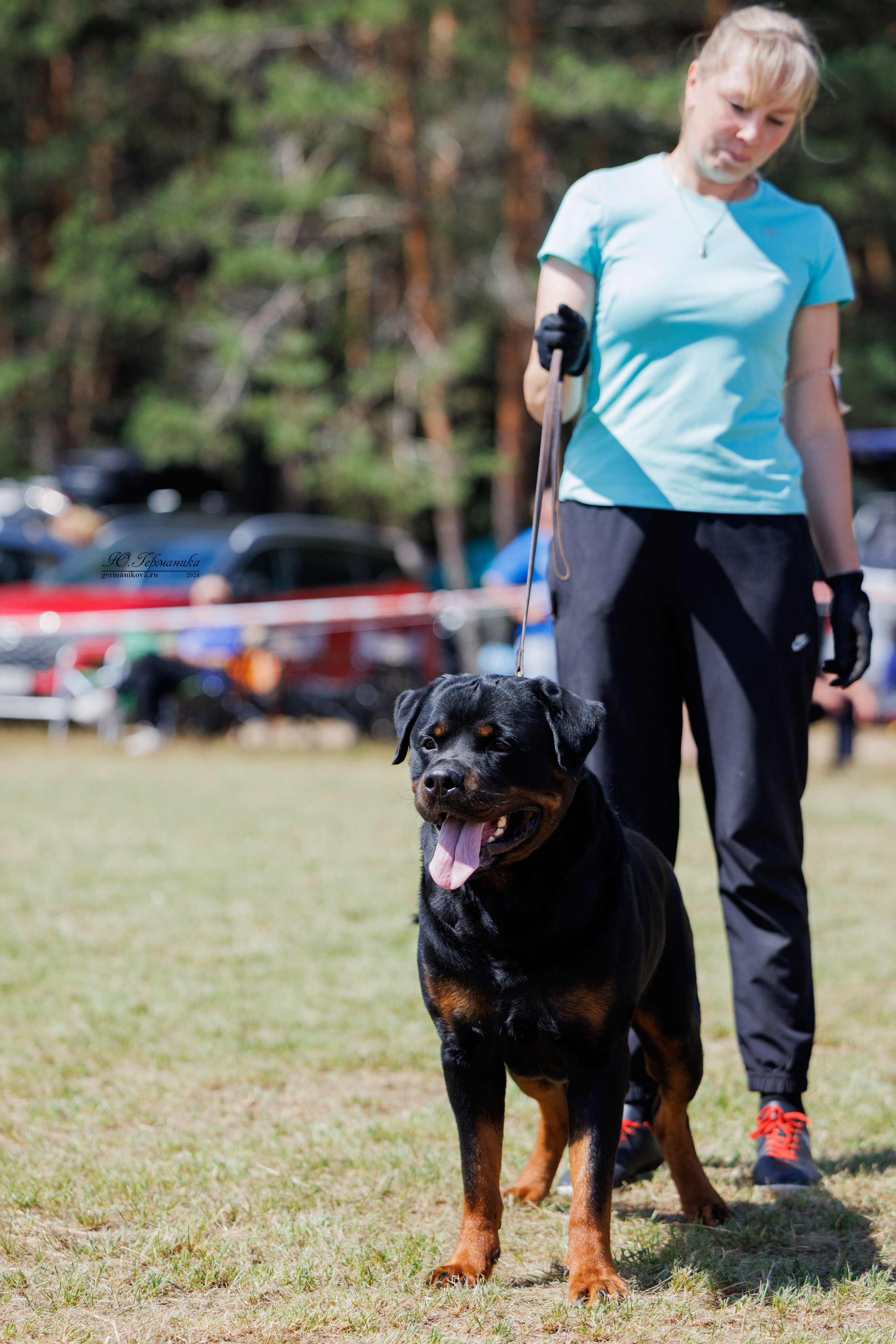 ПК и КЧК ротвейлеры Тверь 6-7.07.2024. Фотограф-анималист Юлия Германика