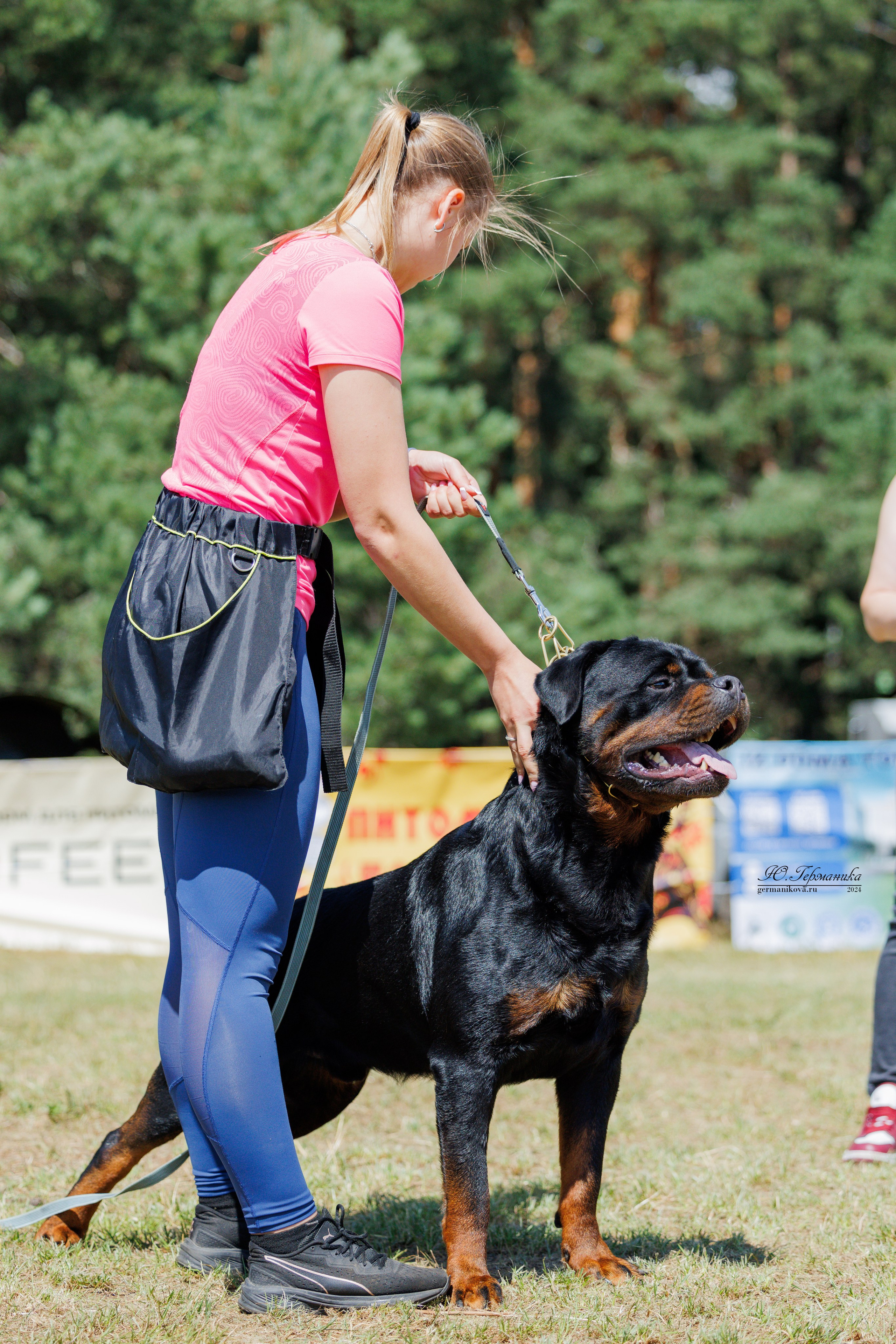 ПК и КЧК ротвейлеры Тверь 6-7.07.2024. Фотограф-анималист Юлия Германика