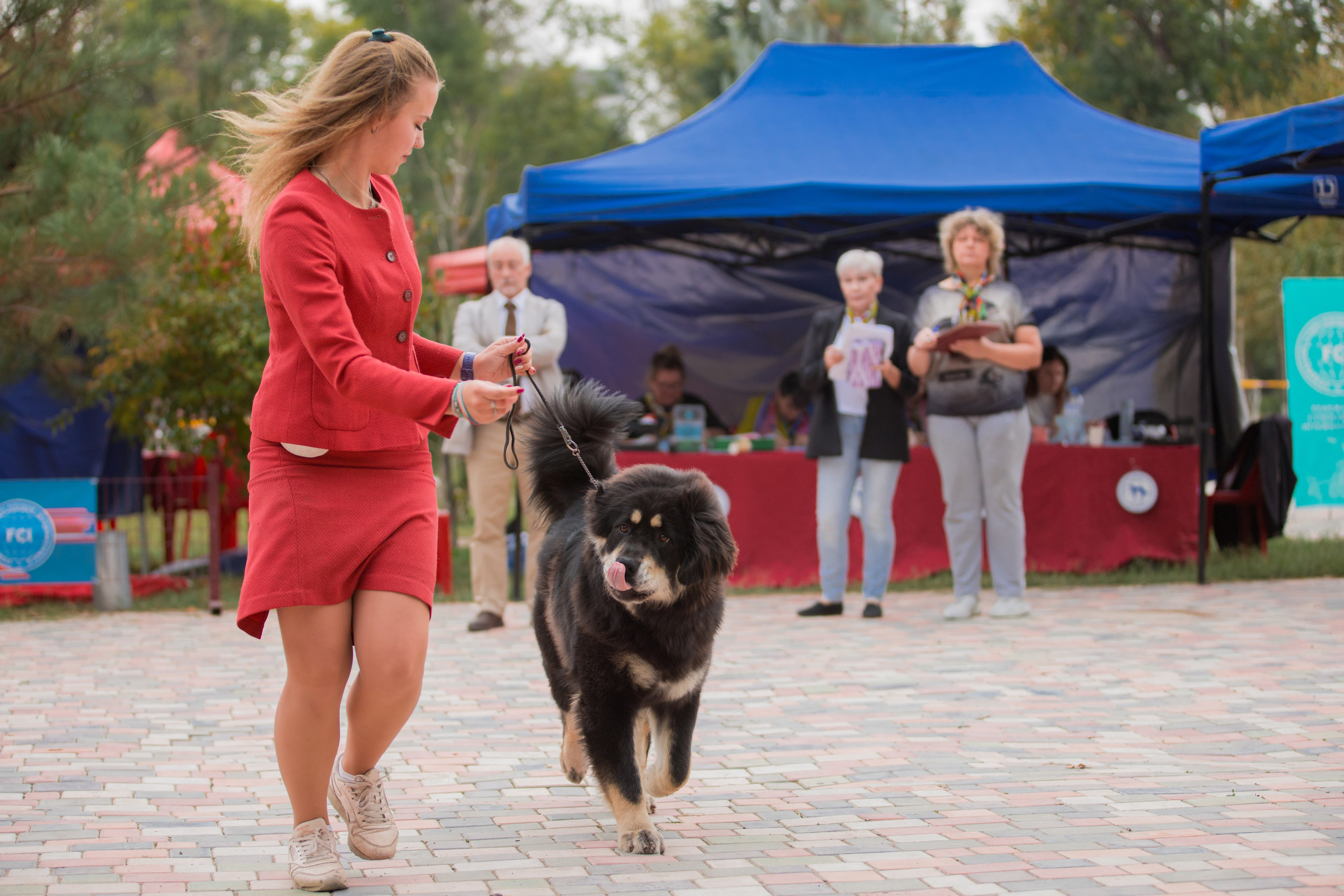 Ташкент 6-8.10.2023 + Алматы 14-15.10.2023. Фотограф-анималист Юлия Германика