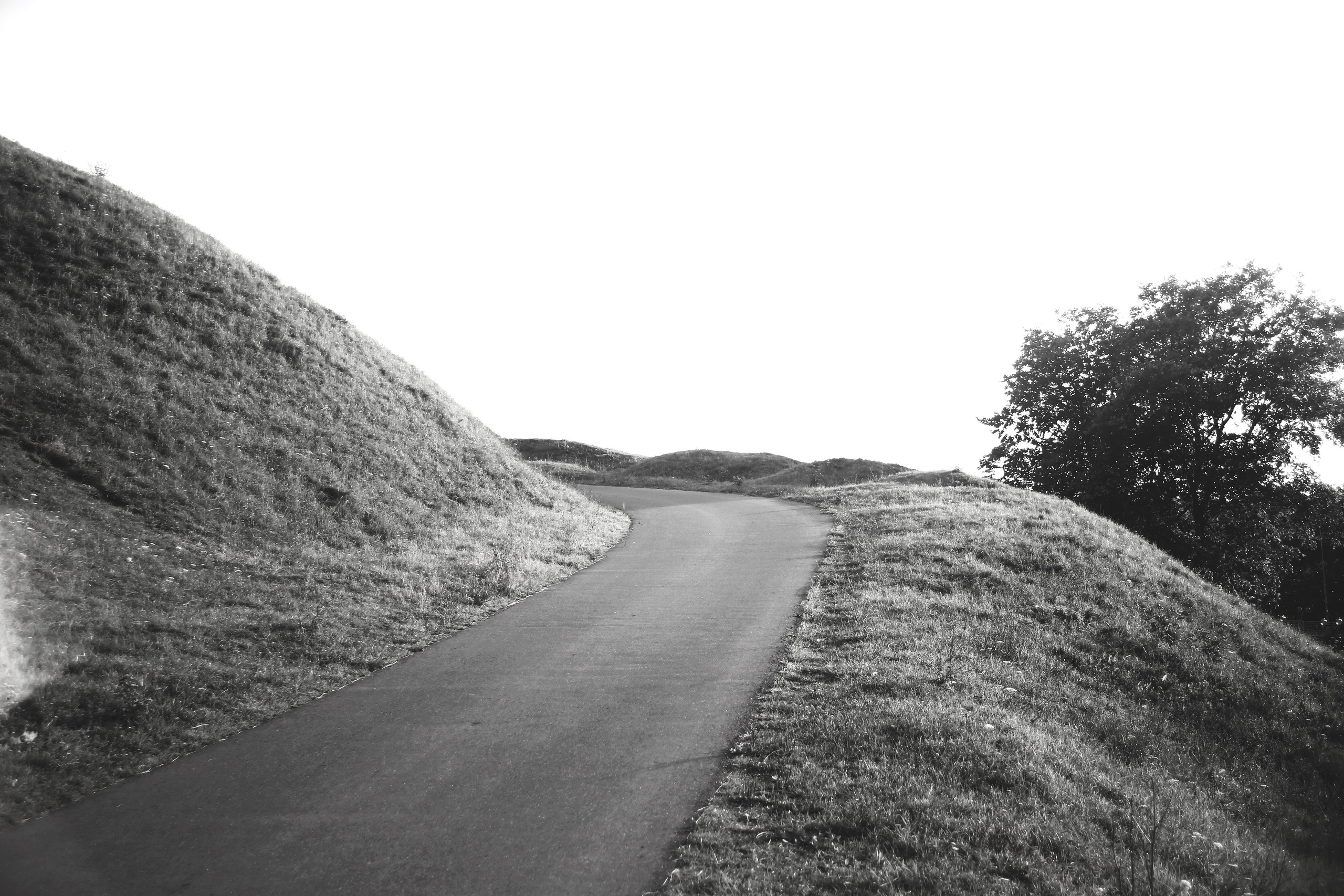 Всё, что я вижу вокруг себя