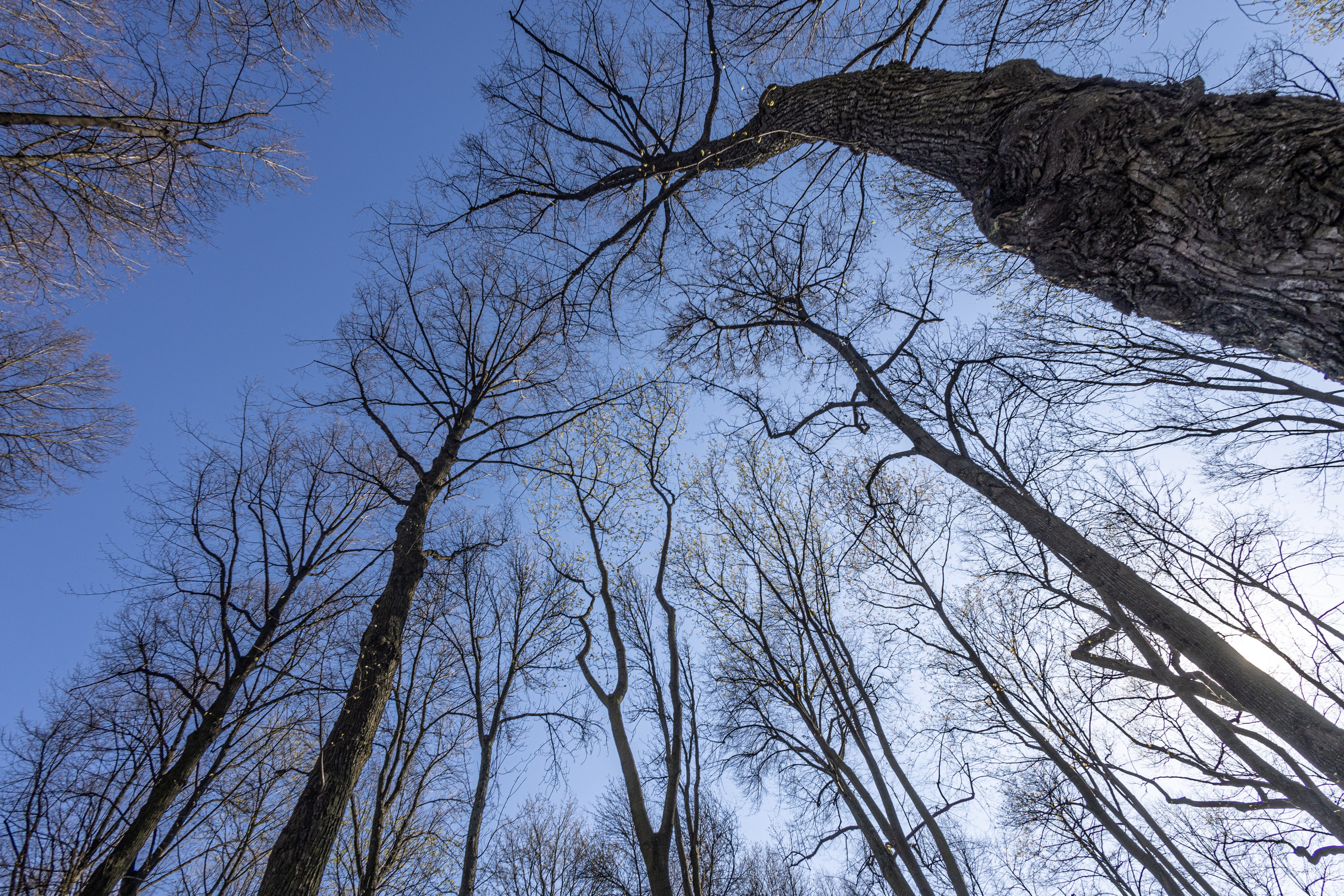 Пейзаж. Фотограф Твердохлебова Дарья, г. Санкт-Петербург