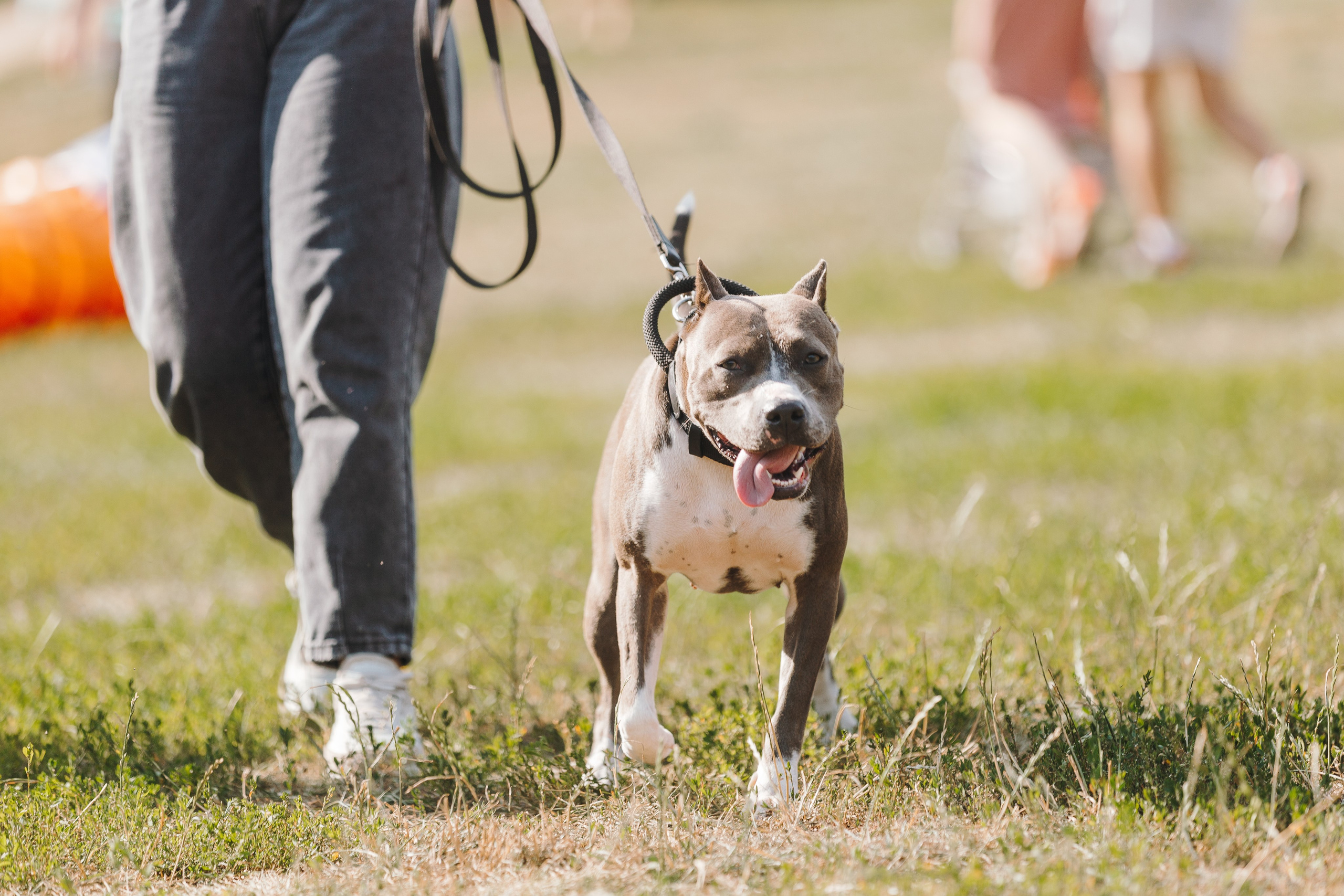 Petshop Sup day. Фотограф анималист Кристина Карпова, Москва