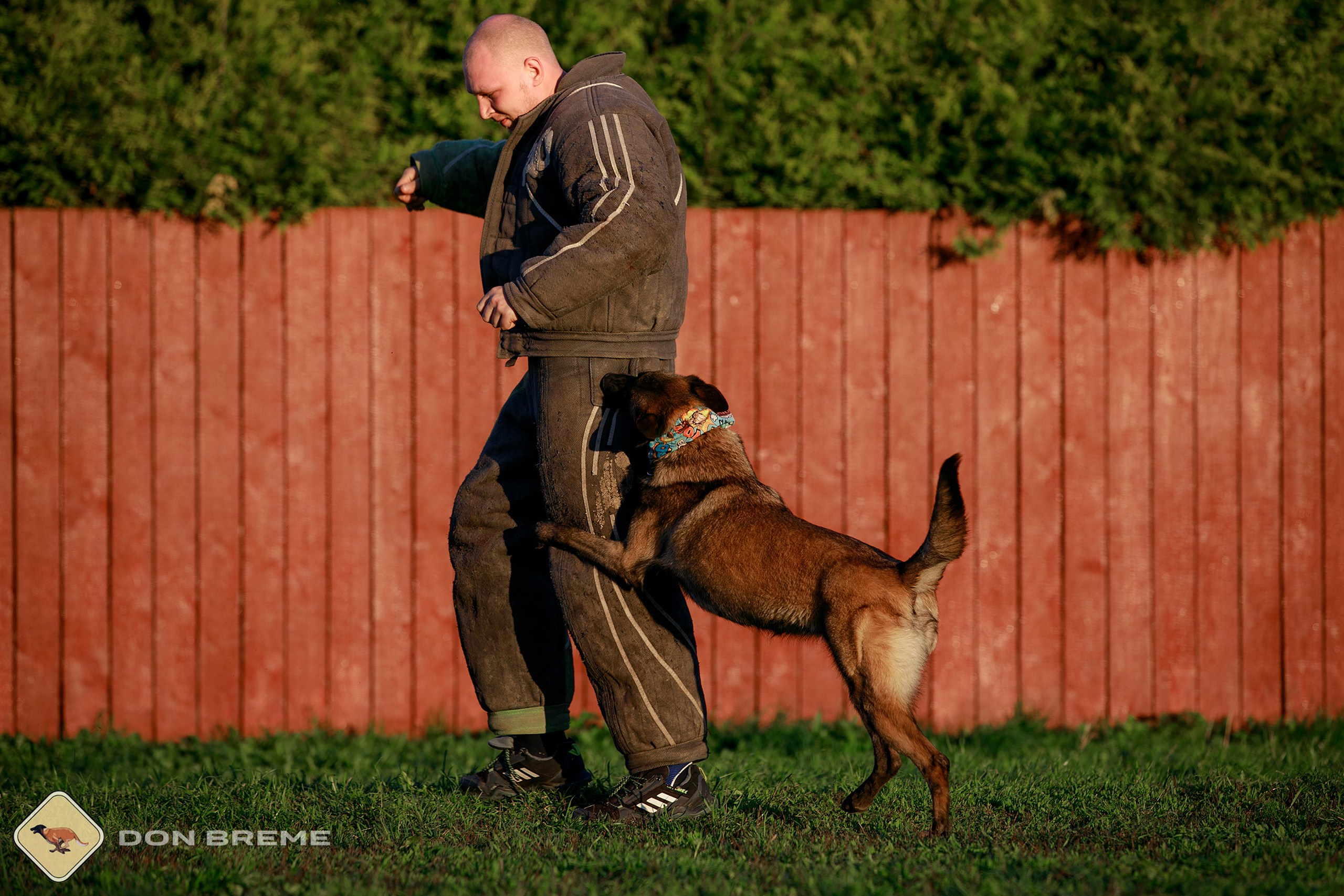 Семинар для фигурантов, день 3. Фотограф-анималист Mary Mart — Москва, Питер