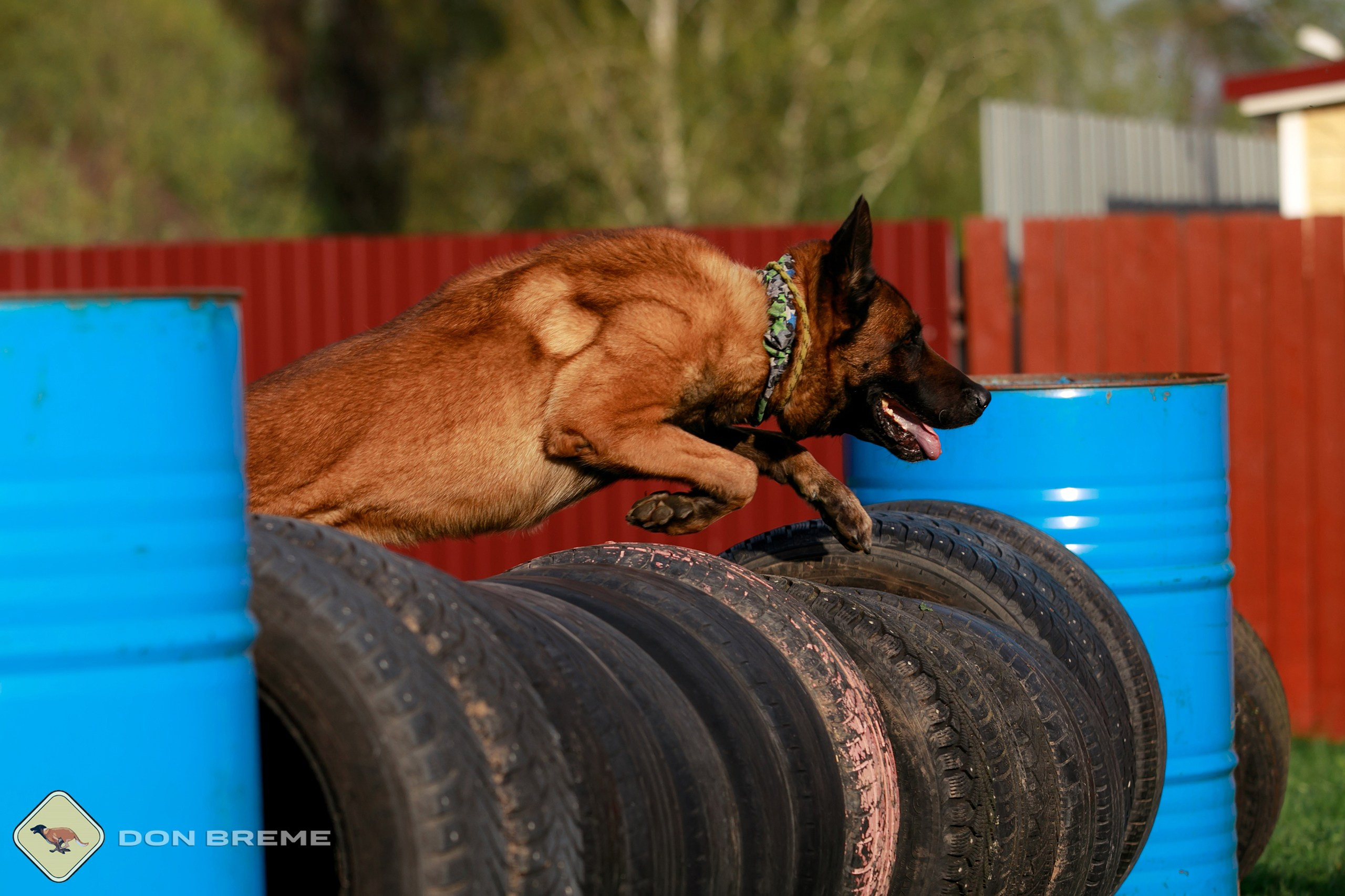 Семинар для фигурантов, день 2. Фотограф-анималист Mary Mart — Москва, Питер