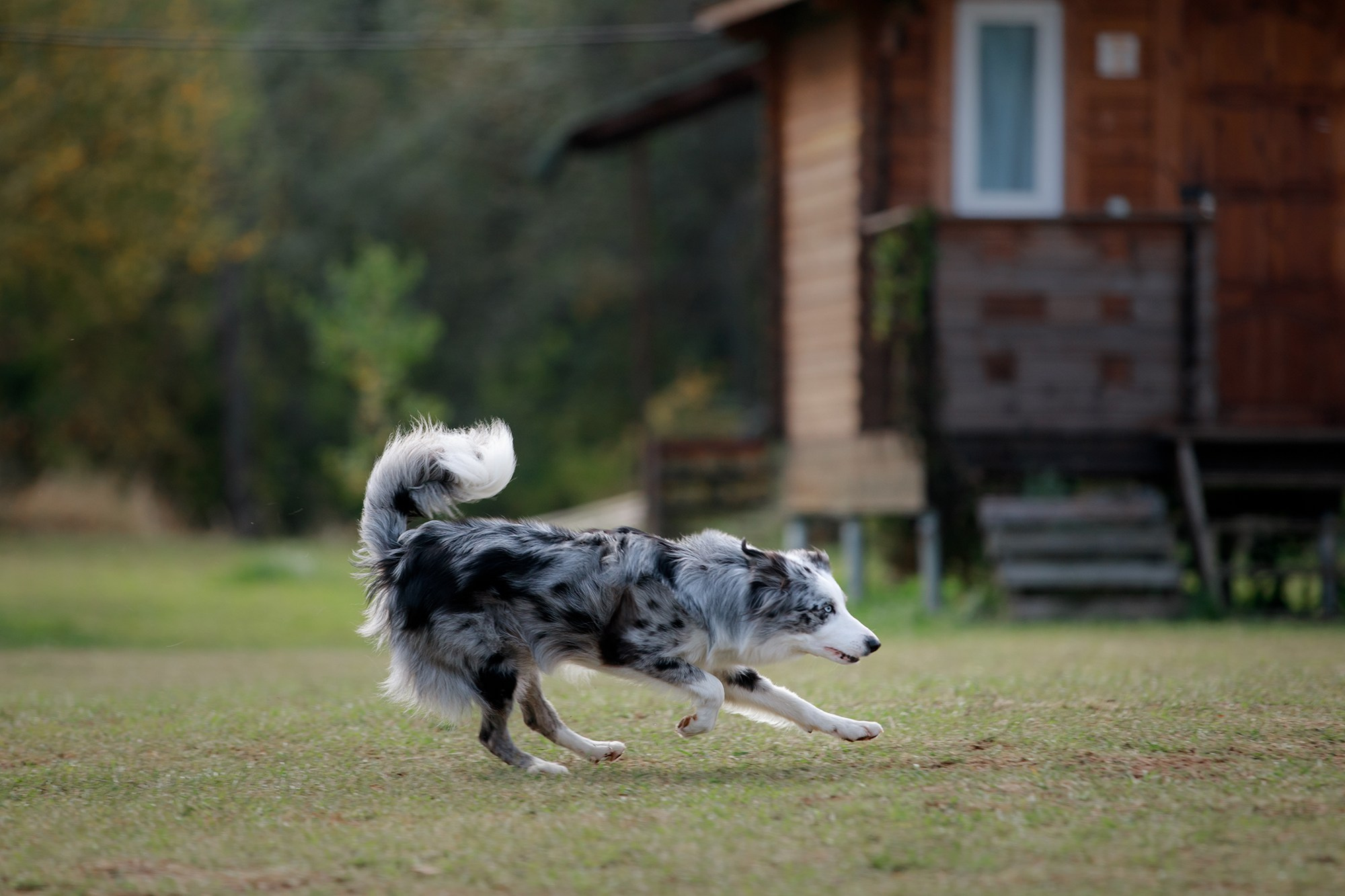 Лагерь по ОБД с Инной Баженовой. Фотограф-анималист Mary Mart — Москва, Питер