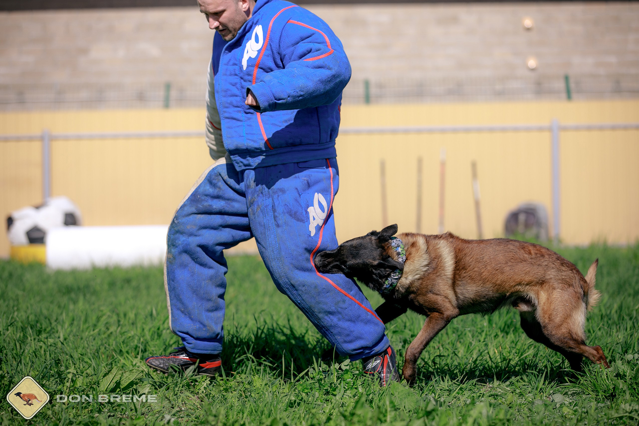 Семинар для фигурантов, день 3. Фотограф-анималист Mary Mart — Москва, Питер