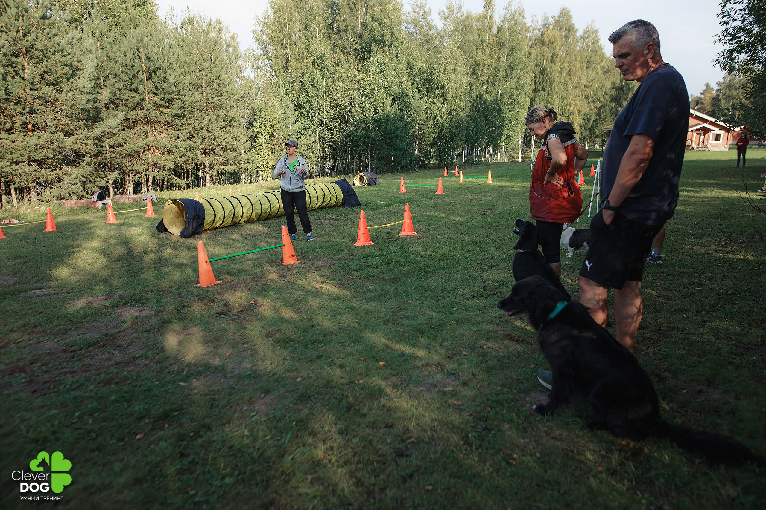 Кинологический лагерь CleverDog, 2024. Фотограф-анималист Mary Mart — Москва, Питер
