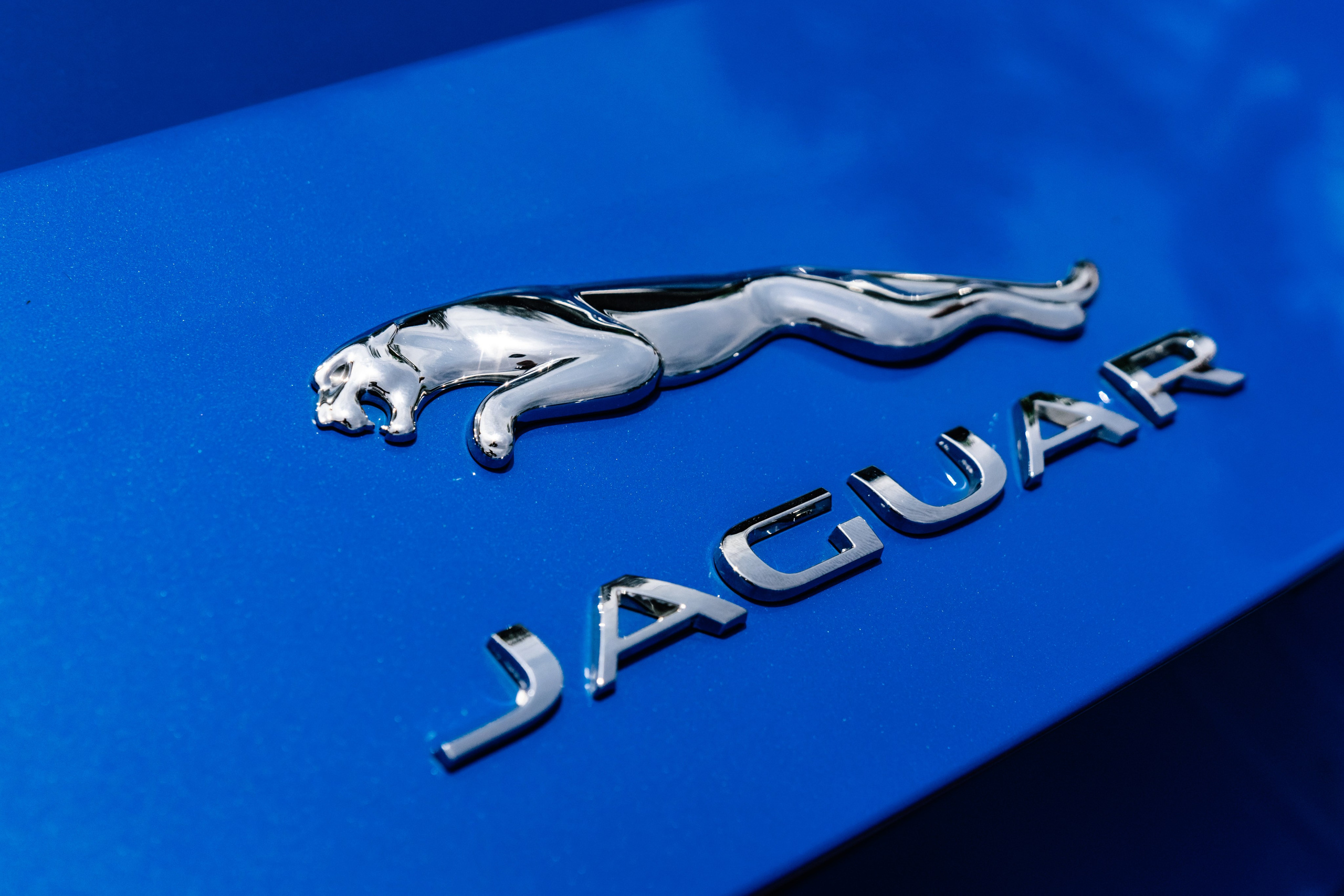 Артем и Лусине. Свадебный фотограф Красноярск Вязьминова Мария