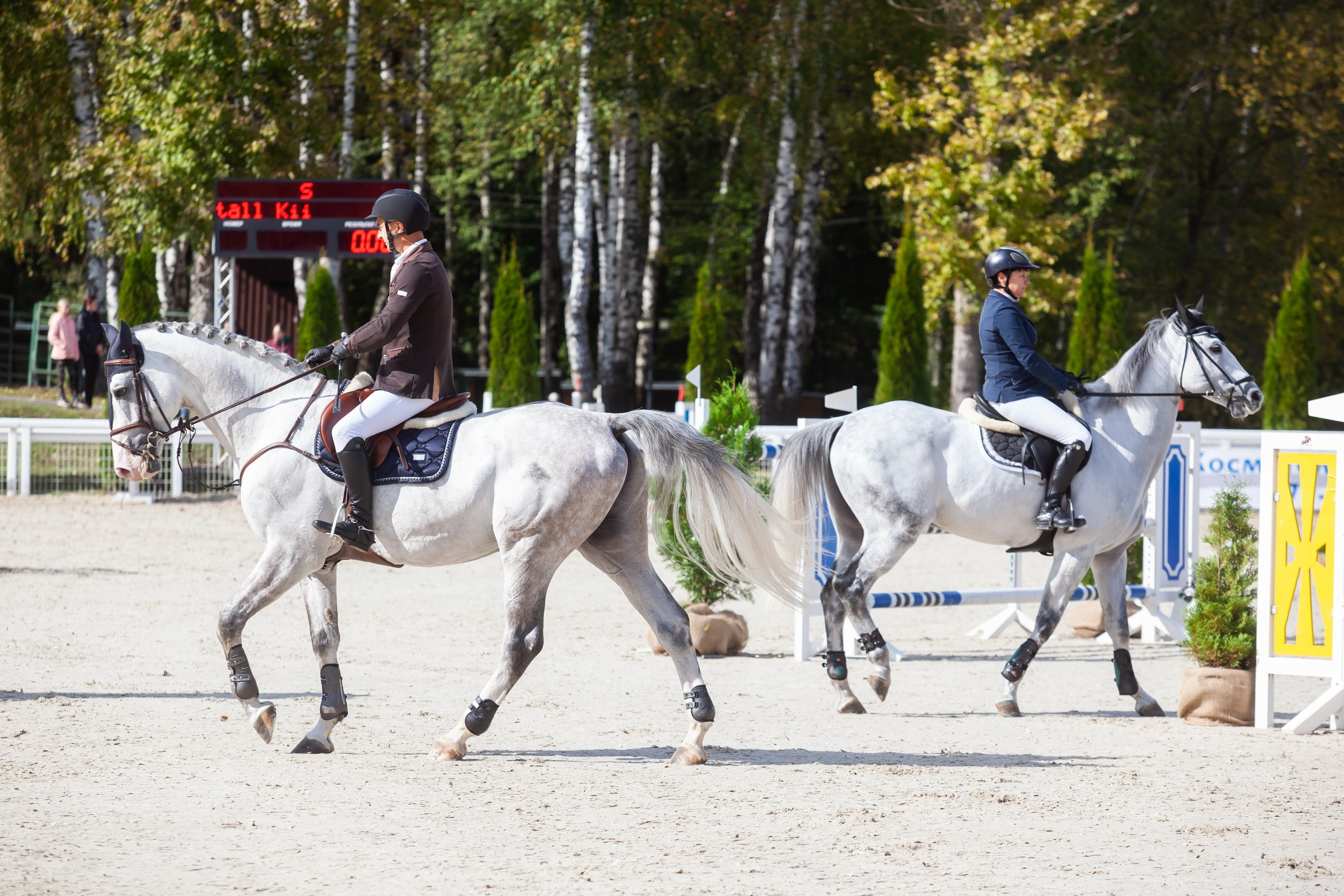 Кубок Губернатора по конкуру (21 сентября 2019). Репортажный фотограф Алексей Пирязев