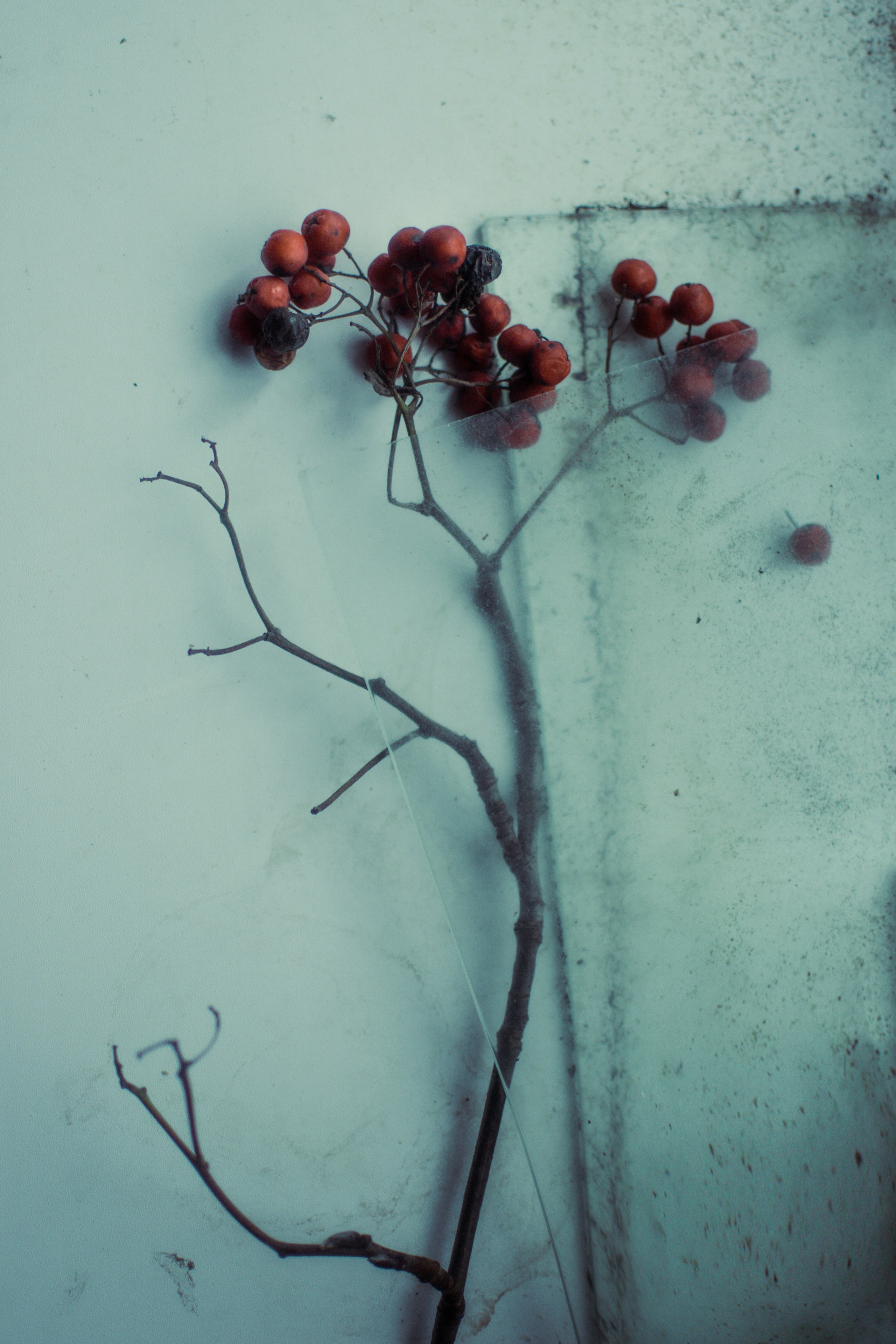 Расширение воздушных пространств. Анна Полонеева фотография фотохудожник визуальная художница портреты