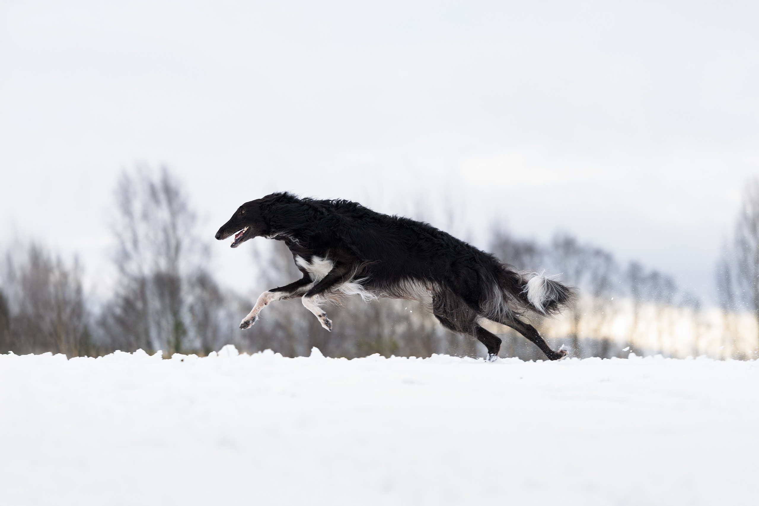 Катя и Гримм. Мои работы