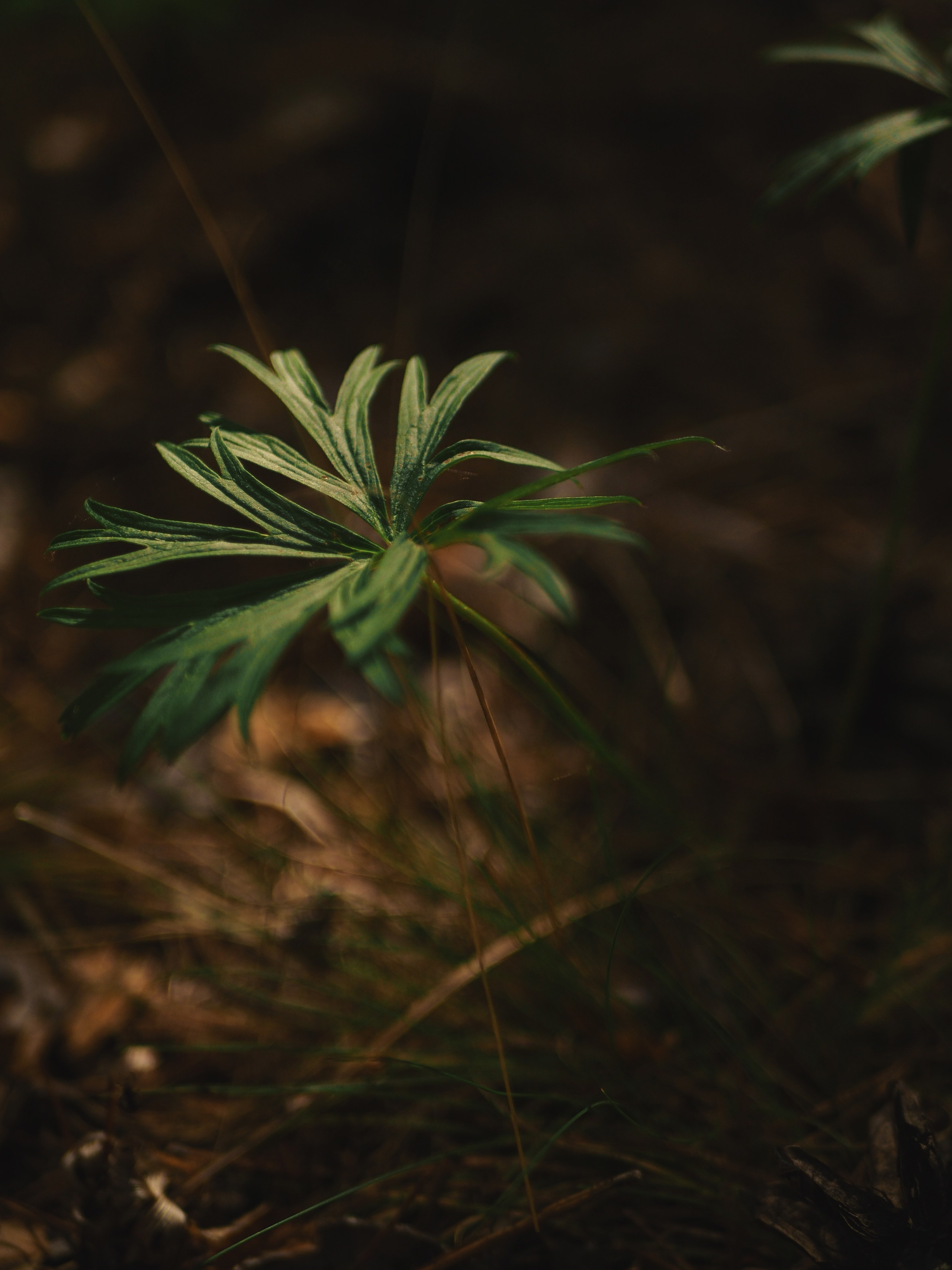 ПЕЙЗАЖИ. Фотограф Чита | Иркутск | Новосибирск