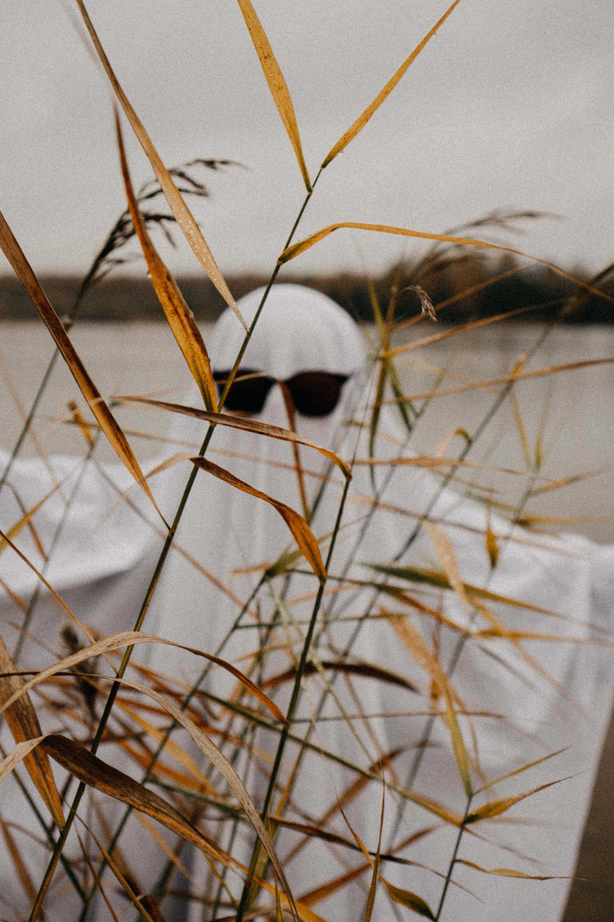 Осеняя. Профессиональный фотограф, Санкт-Петербург — Виктория Богомолова