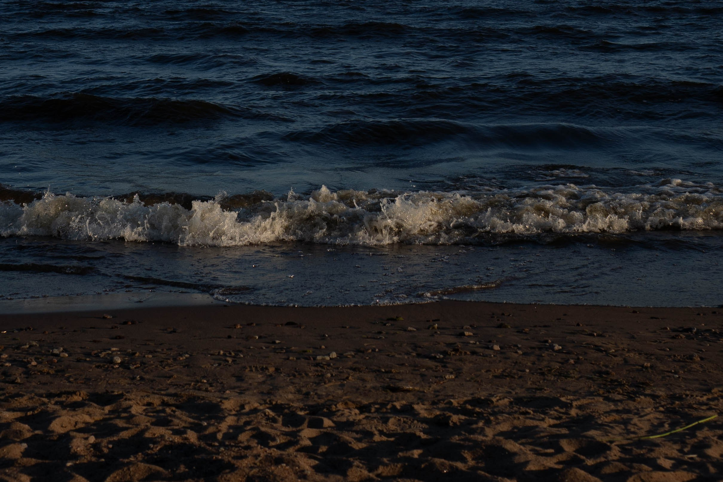 Любовь на заливе. Профессиональный фотограф, Санкт-Петербург — Виктория Богомолова