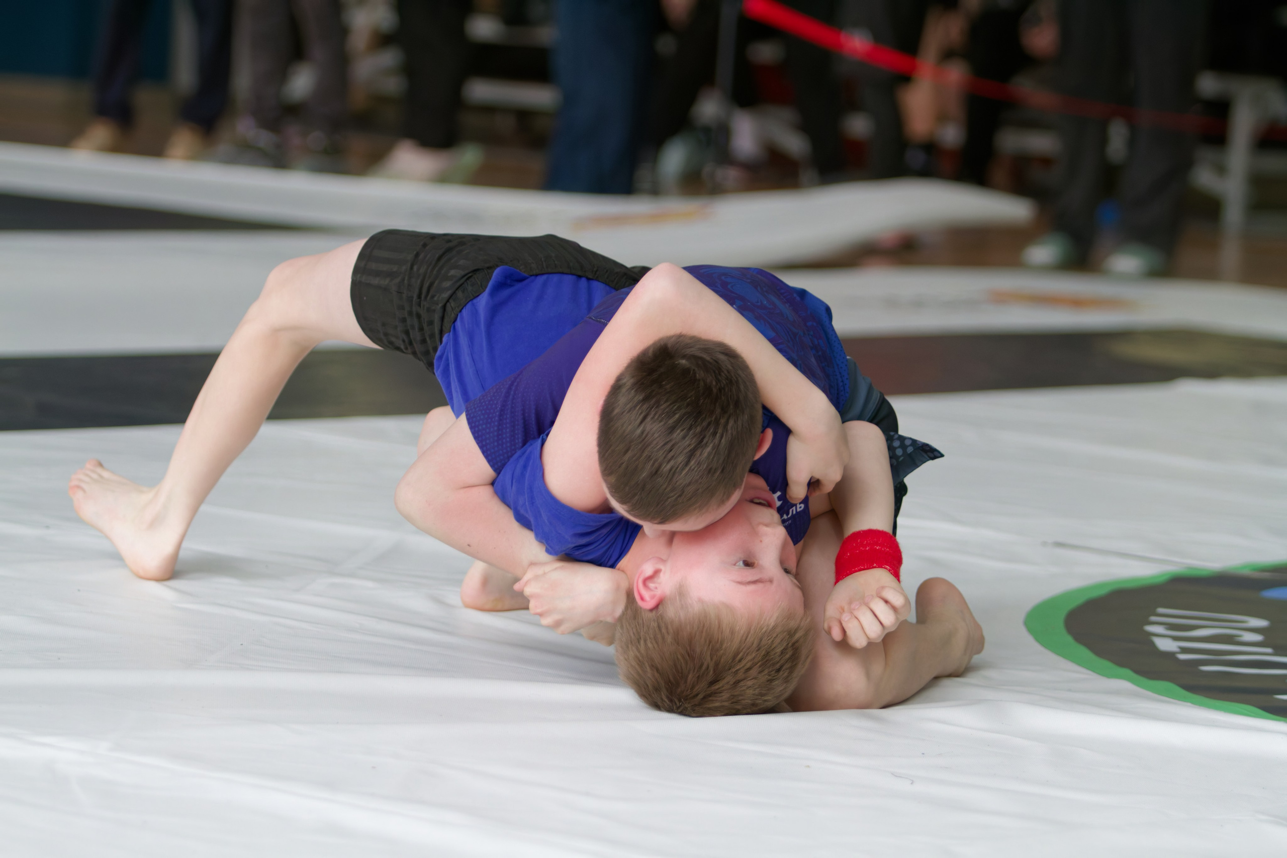 Борьба. Джиу-джитсу 26.04.2025. Репортажный и спортивный фотограф в г. Пермь Зильберг Павел