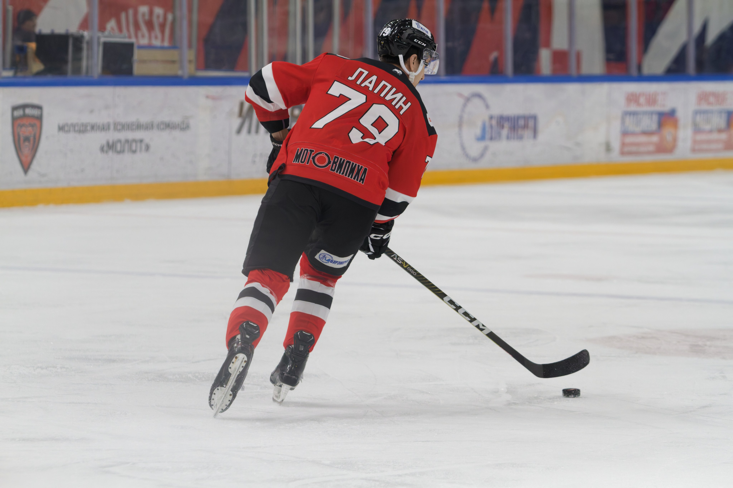 Хоккей. Молот-Химик 12.02.2025. Репортажный и спортивный фотограф в г. Пермь Зильберг Павел
