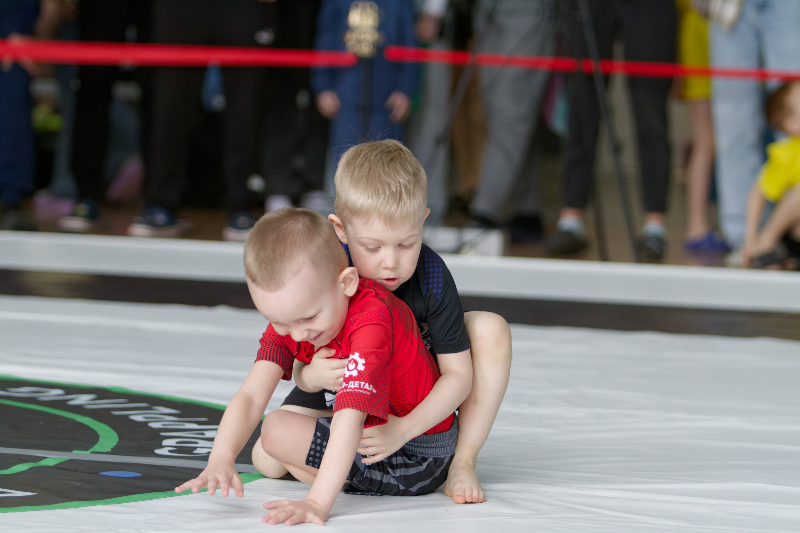 Борьба. Джиу-джитсу 26.04.2025. Репортажный и спортивный фотограф в г. Пермь Зильберг Павел