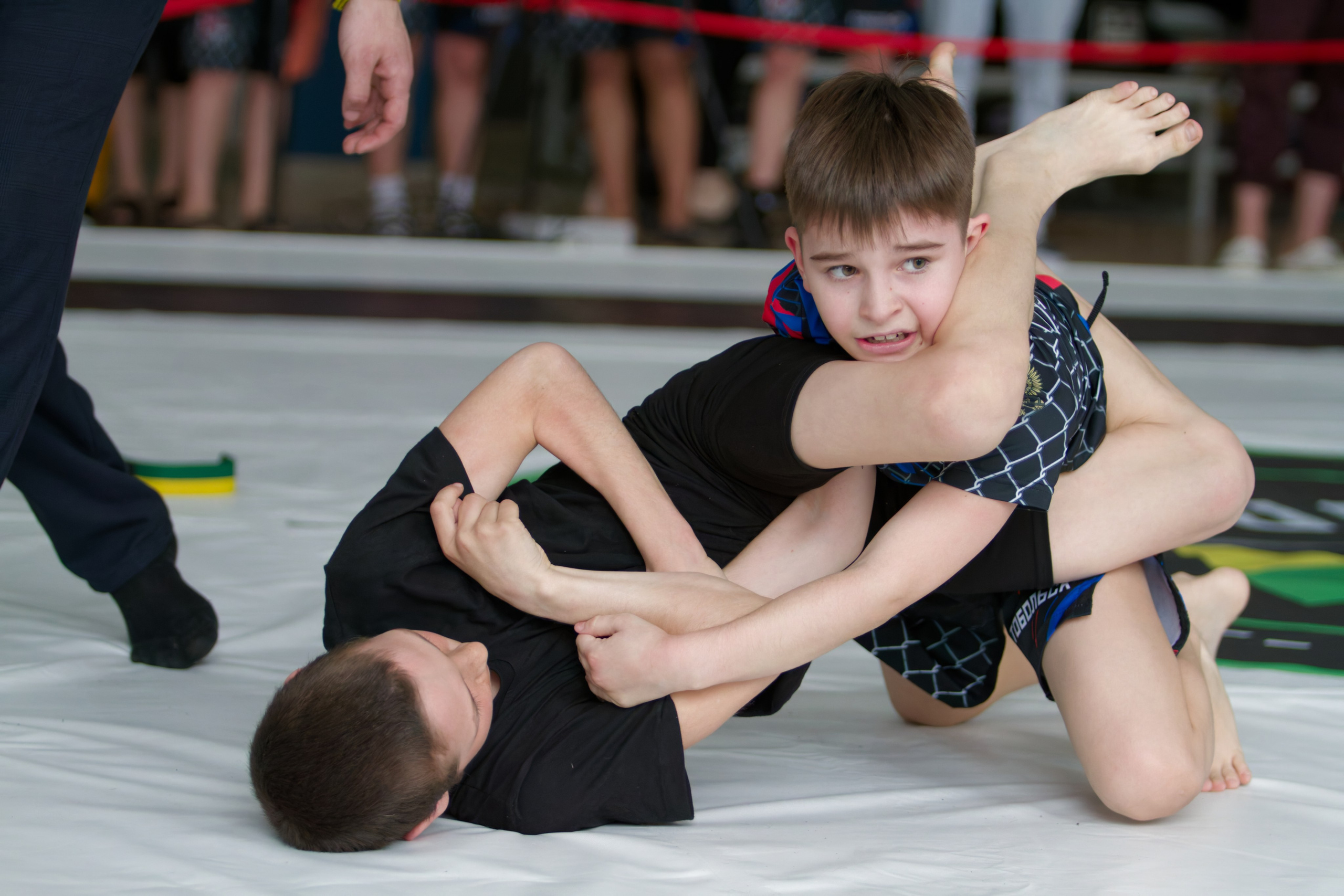 Борьба. Джиу-джитсу 26.04.2025. Репортажный и спортивный фотограф в г. Пермь Зильберг Павел