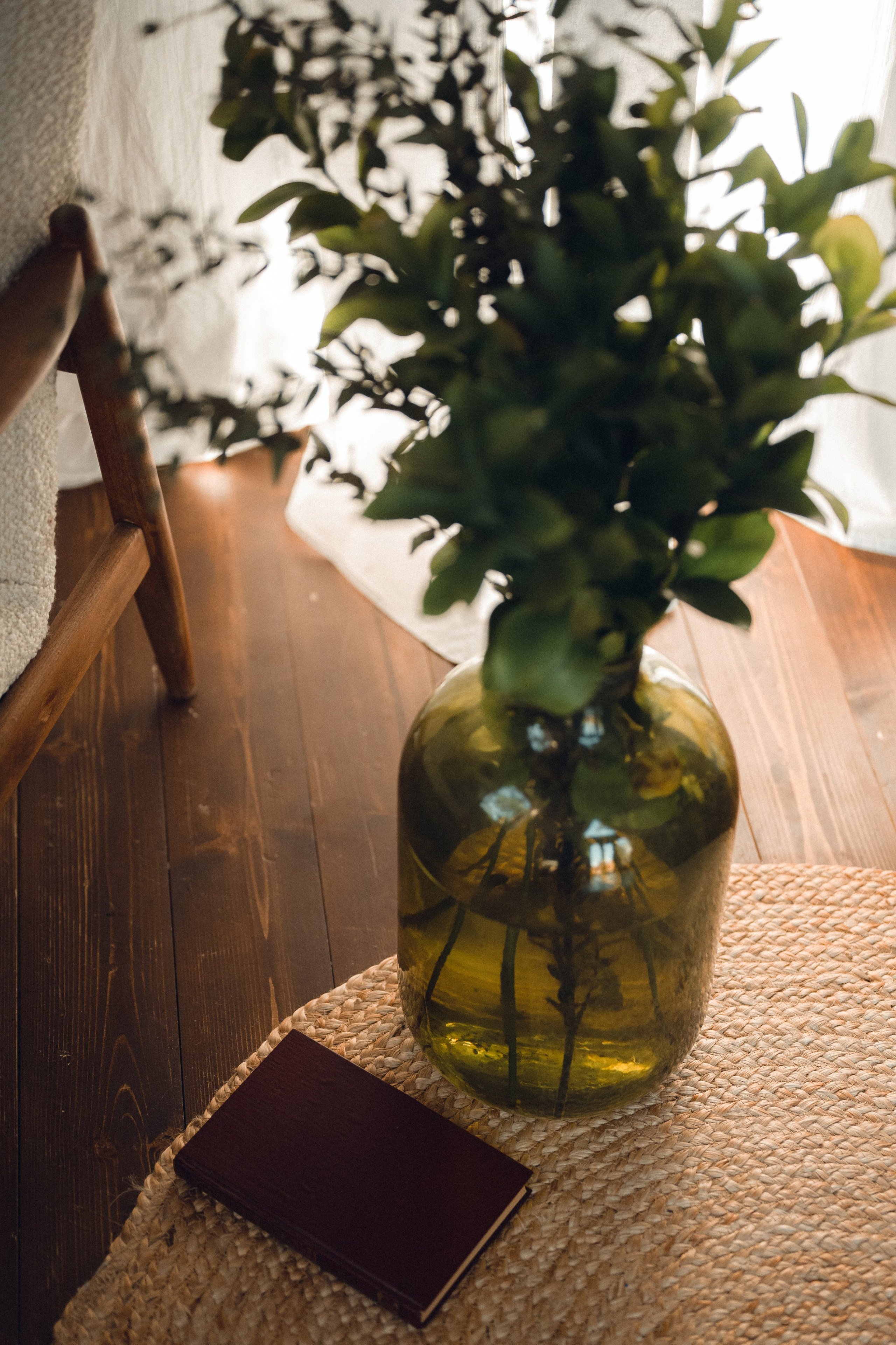 ДОМИК В ЛЕСУ. Фотограф в Белграде Чугреева Елена