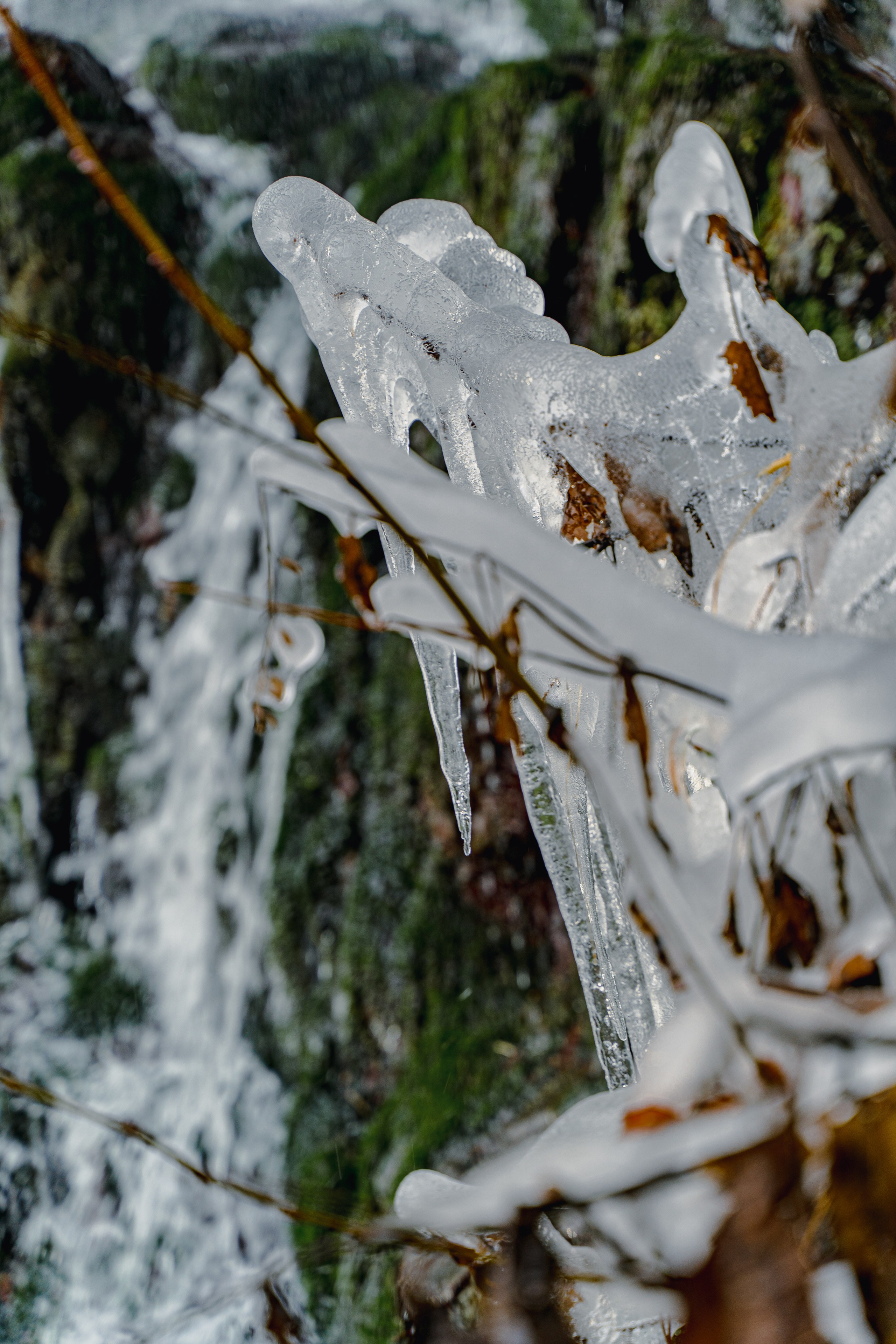 Фотографии Сочи, глазами гида-фотографа. Фотограф в Сочи Елена Лисотина. Фототуры в Сочи