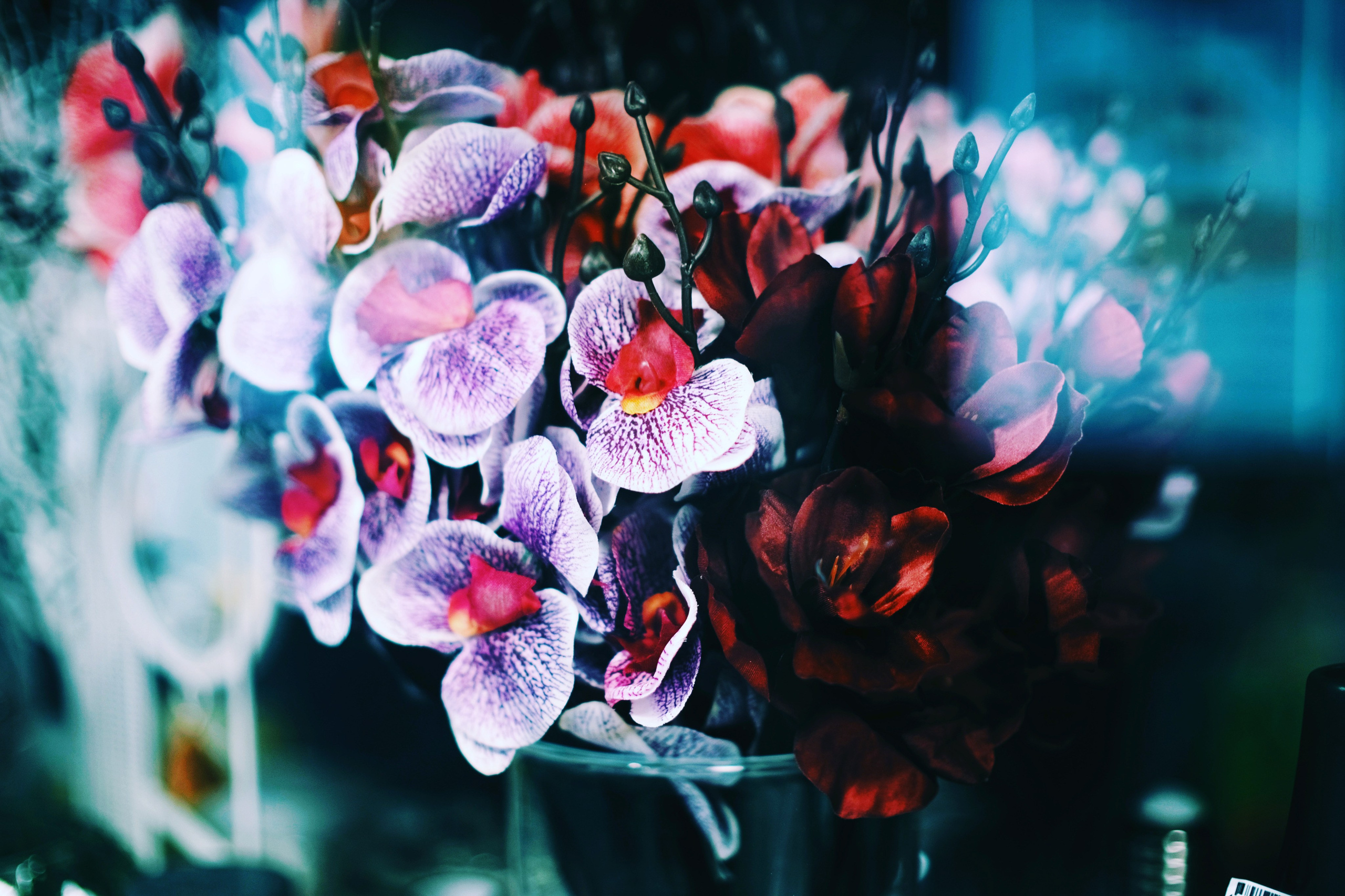 Nature. GubanovPhoto