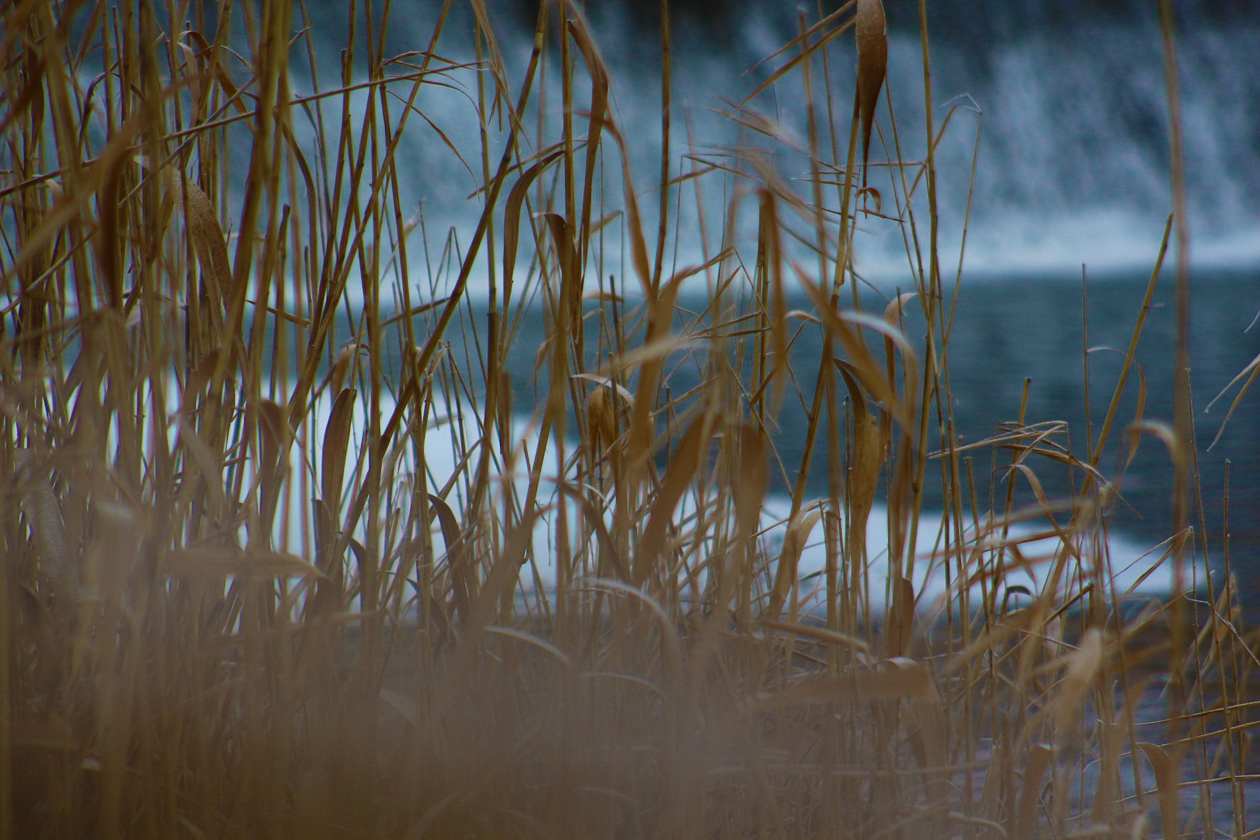Пейзажи. Фотограф из Донецка Александр Турко