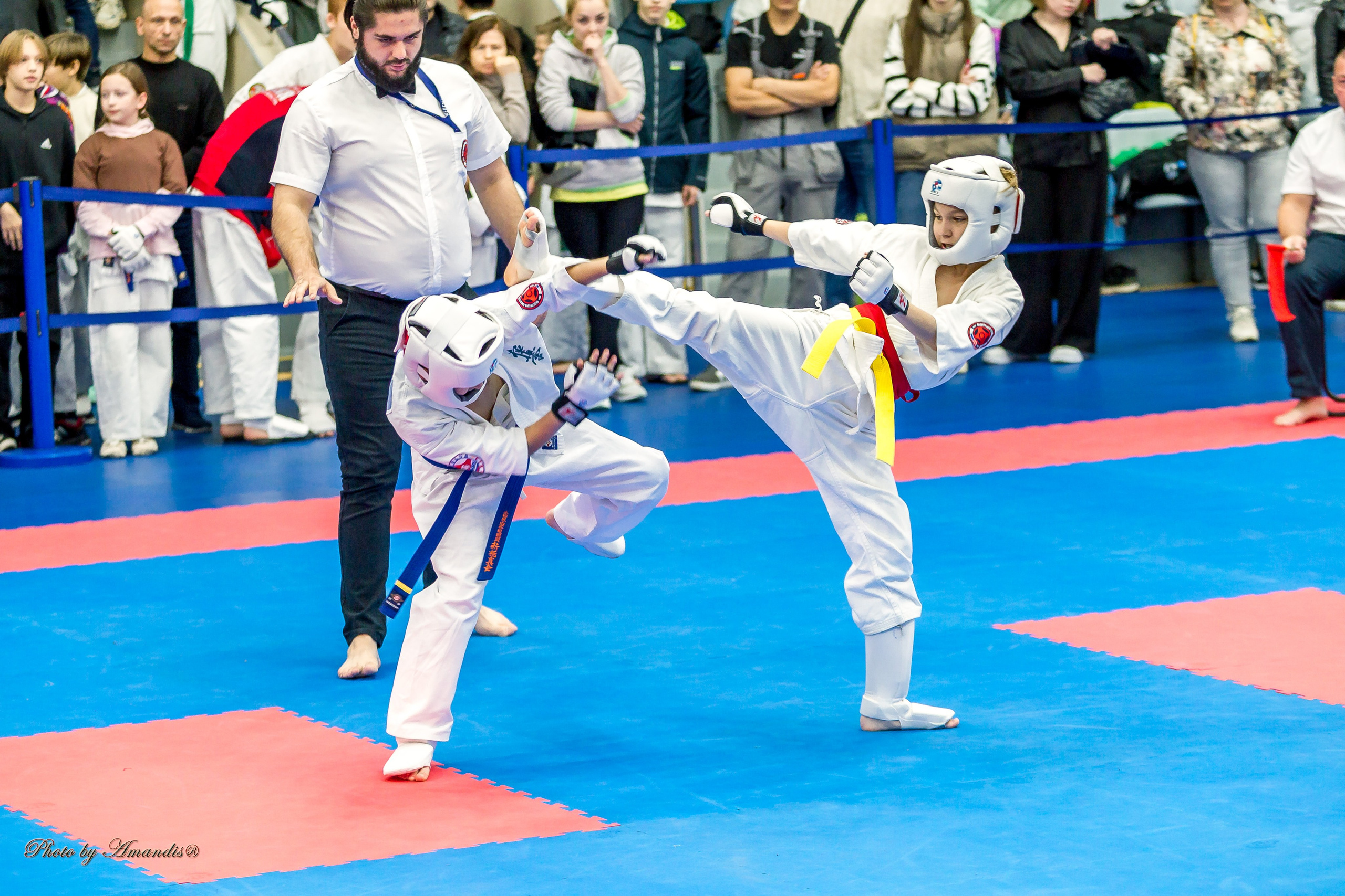 Чемпионат по Киокушинкай Центрального Федерального округа. Репортажная съемка в Москве и области. Анималистика