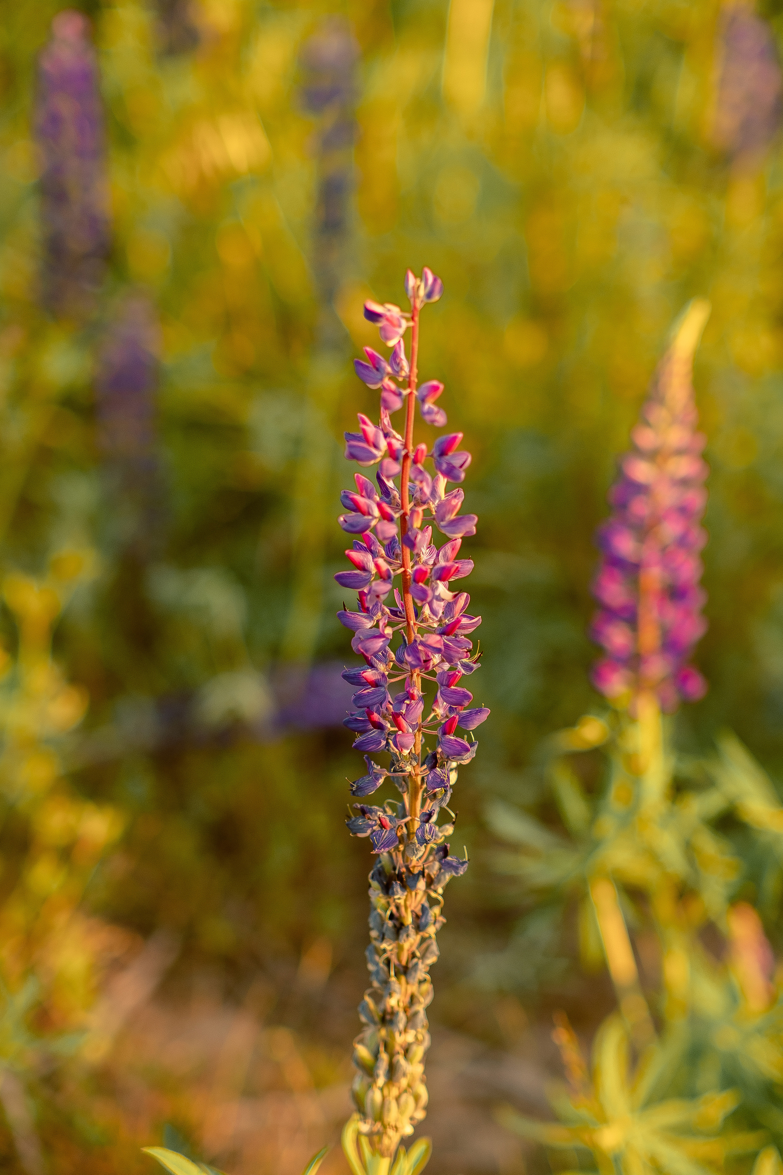Съемка в ожидании в Санкт-Петербурге
